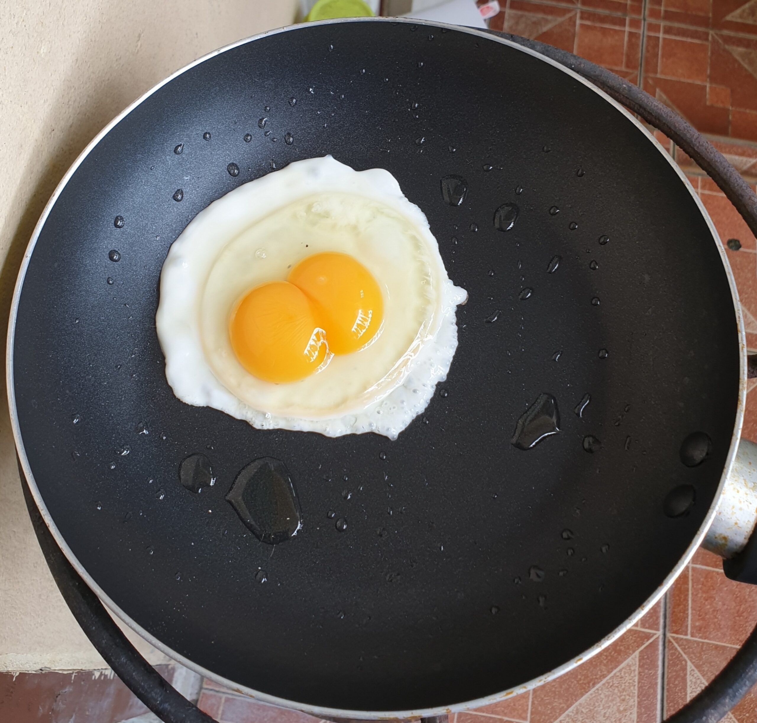 Double-Yolked Egg