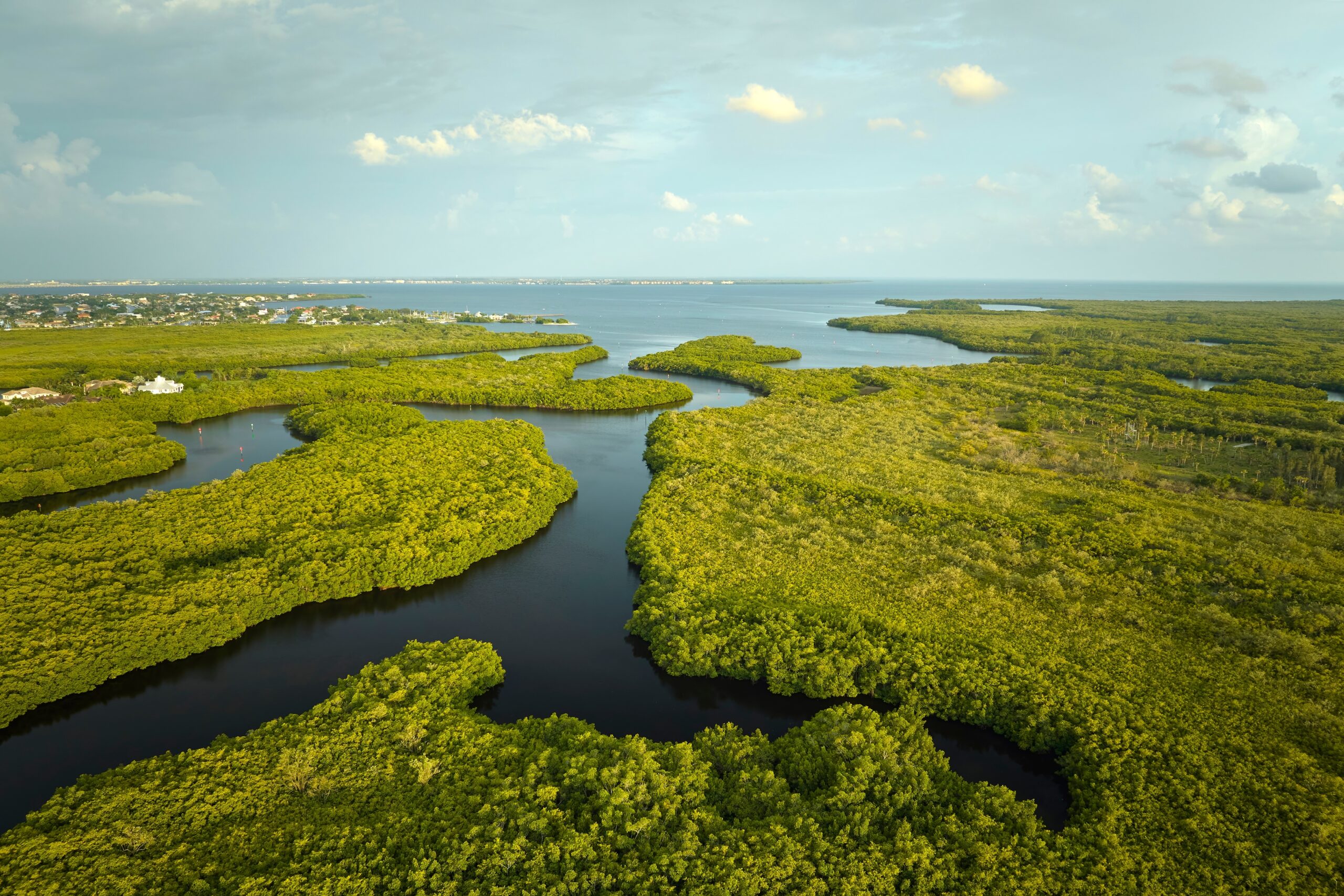 Everglades, Florida, USA