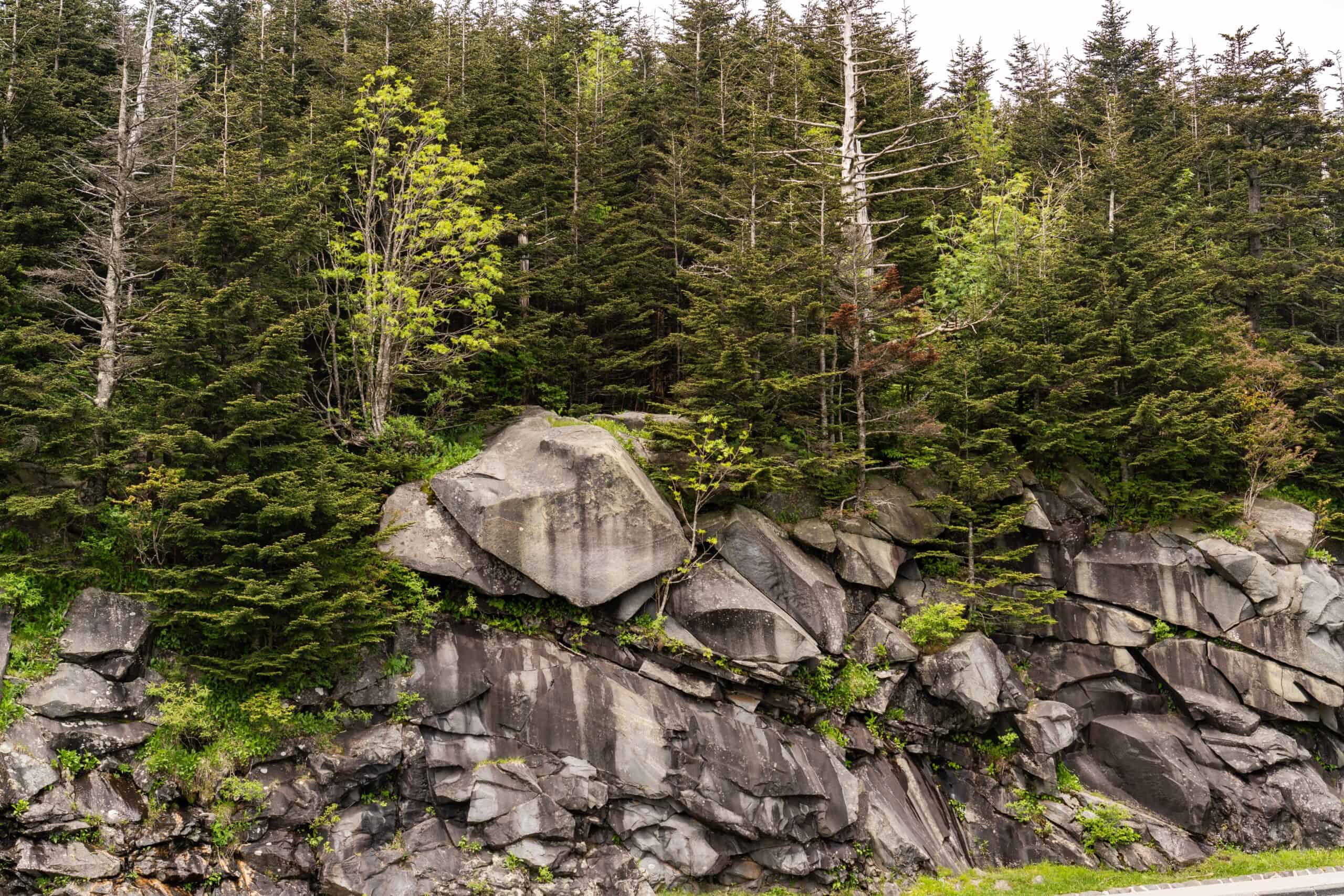 Great Smoky Mountains National Park, USA