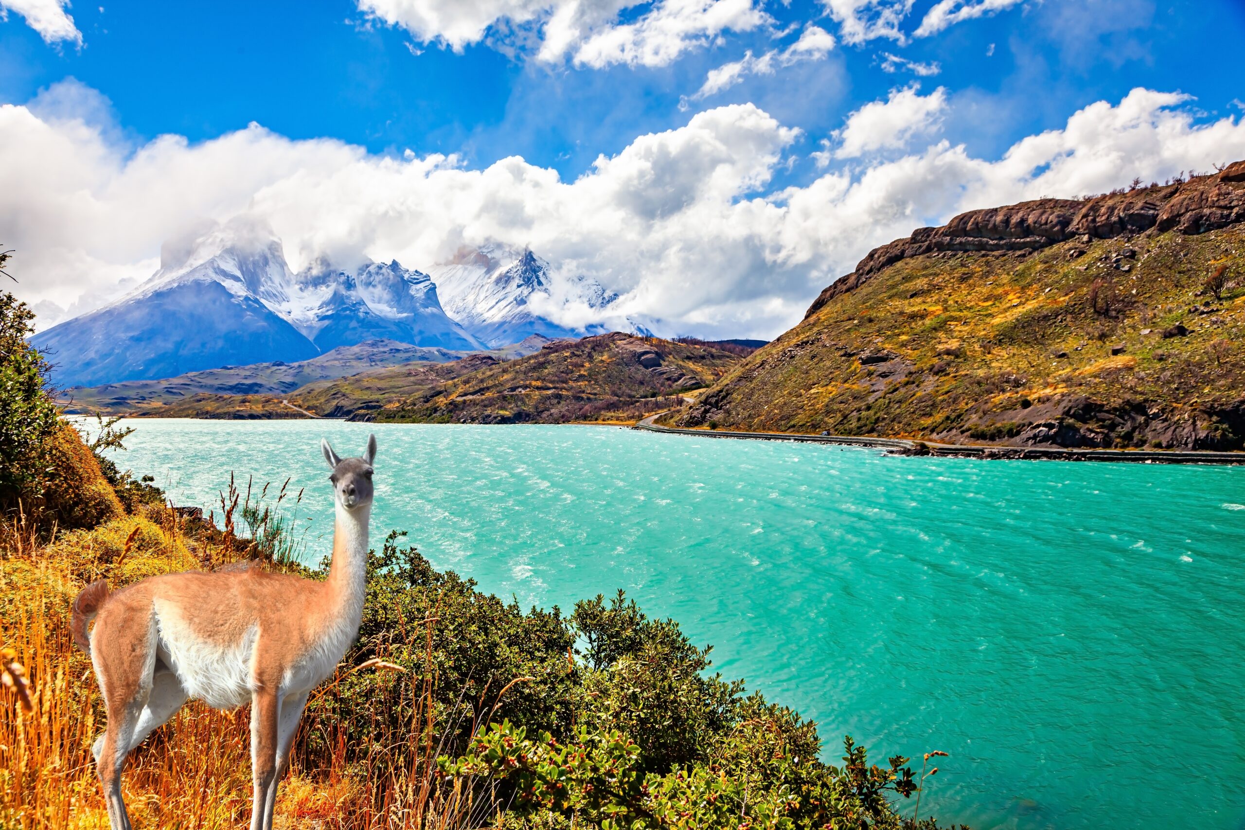 Lake Pehoé, Chile