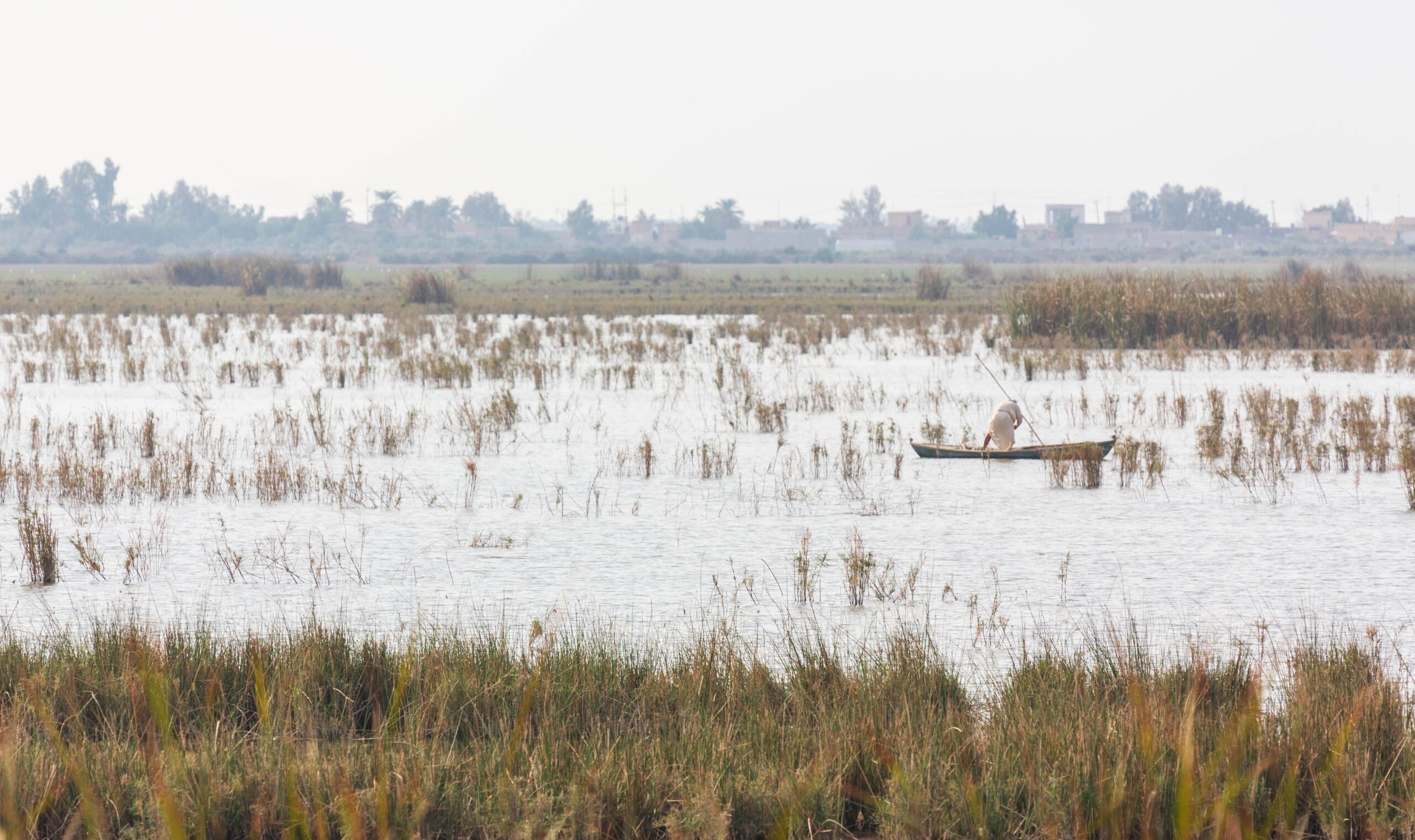 Mesopotamian Marshes, Iraq