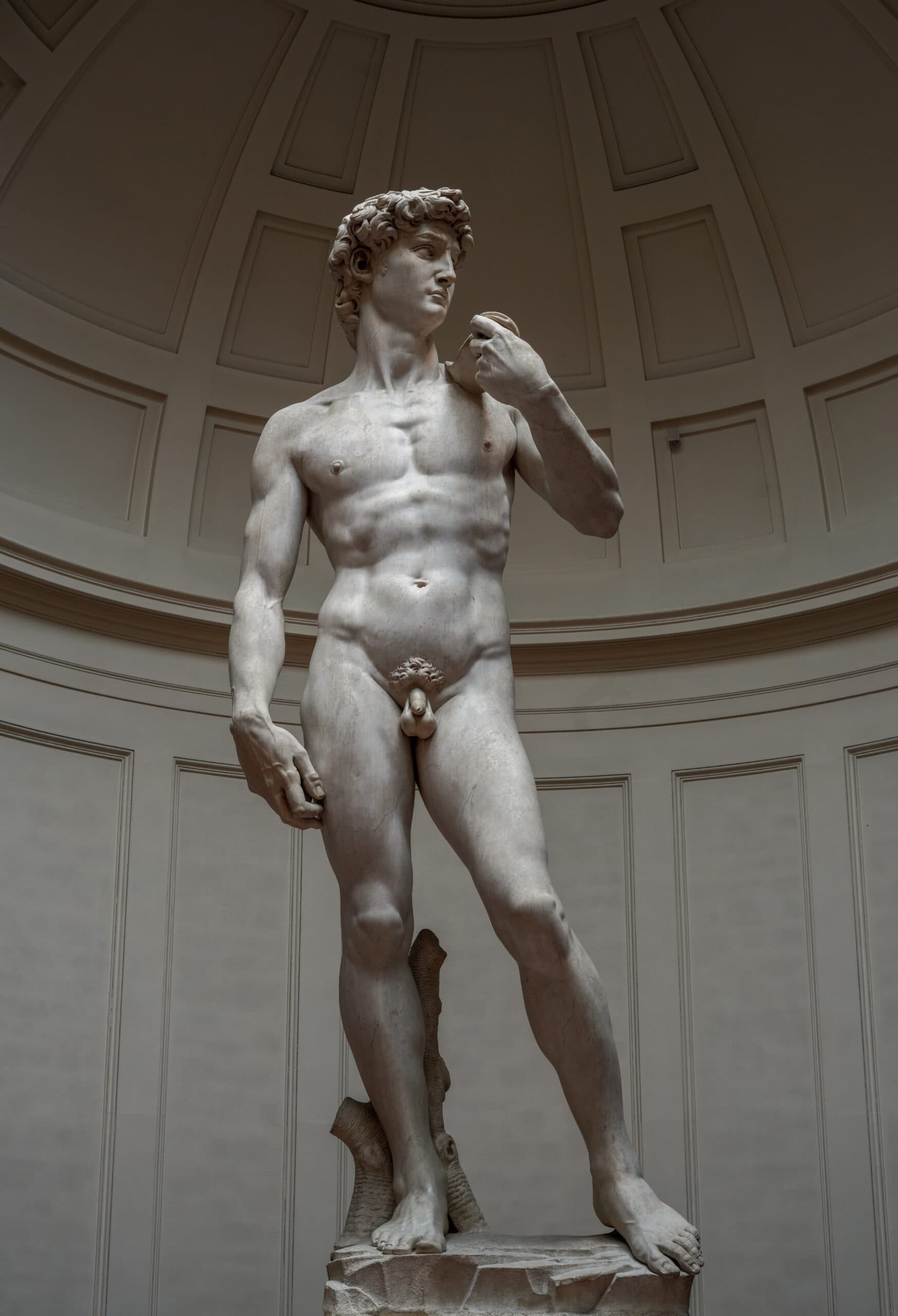 Michelangelo’s David