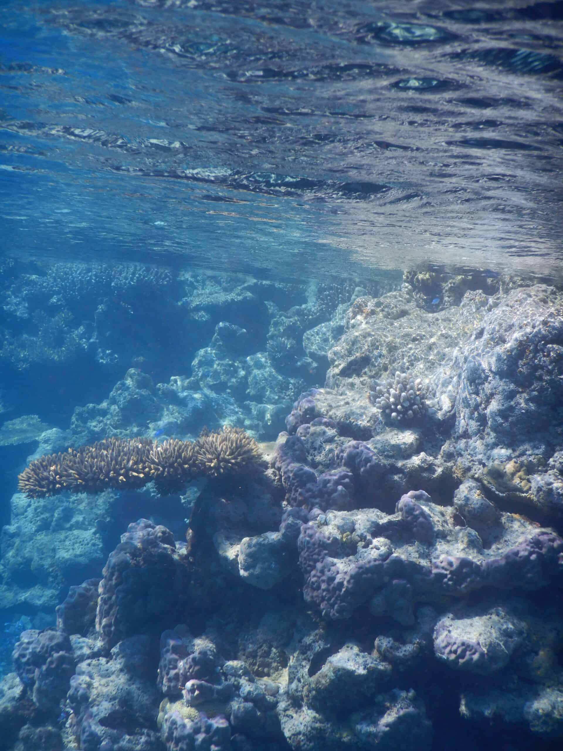 Rowley Shoals, Australia