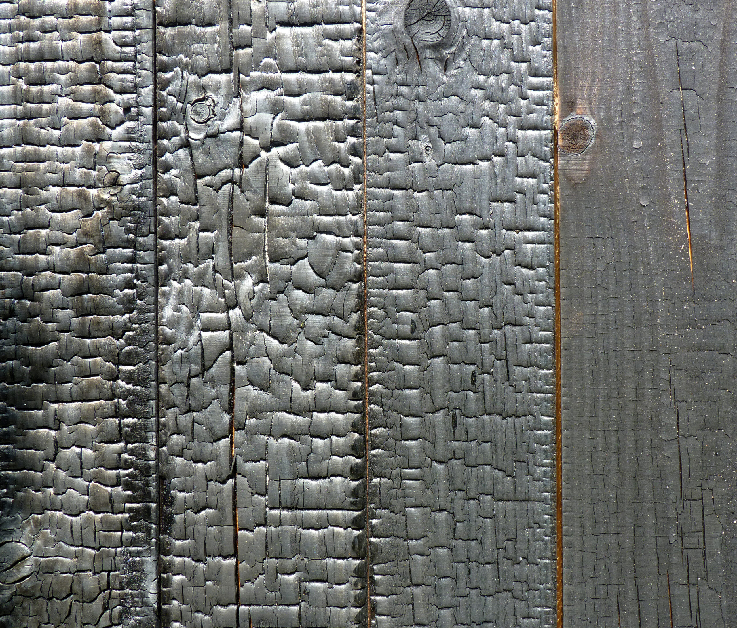 Shou Sugi Ban