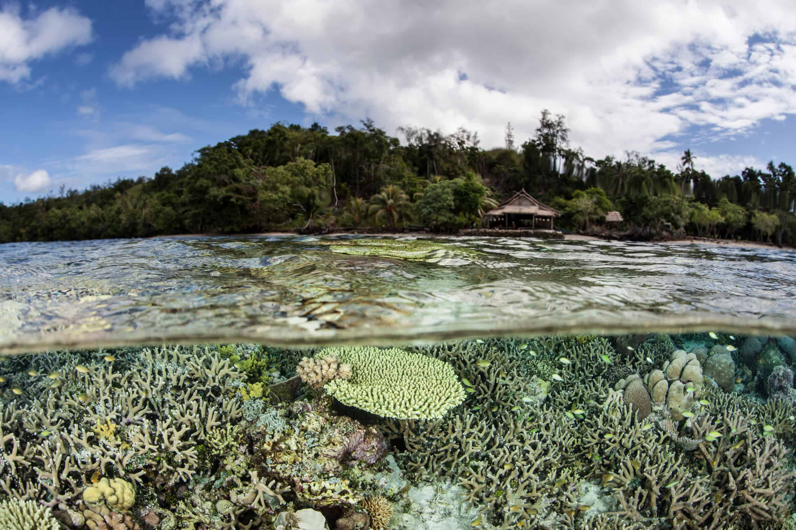 Solomon Islands, Pacific Ocean