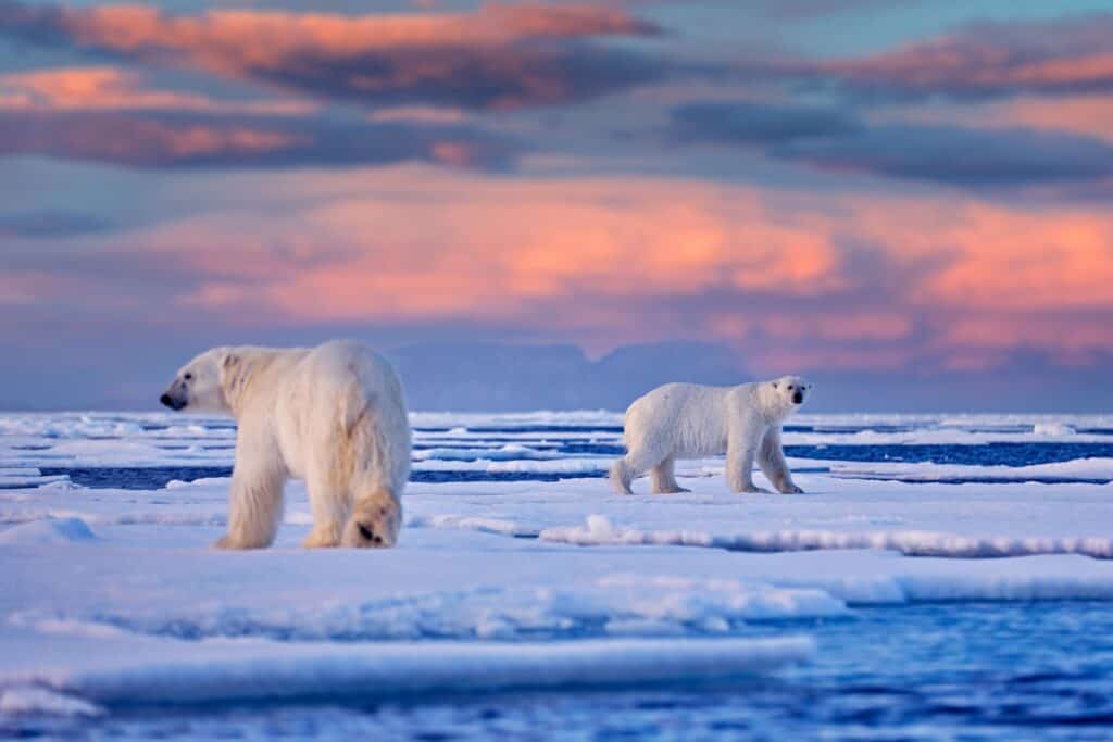 Svalbard, Norway