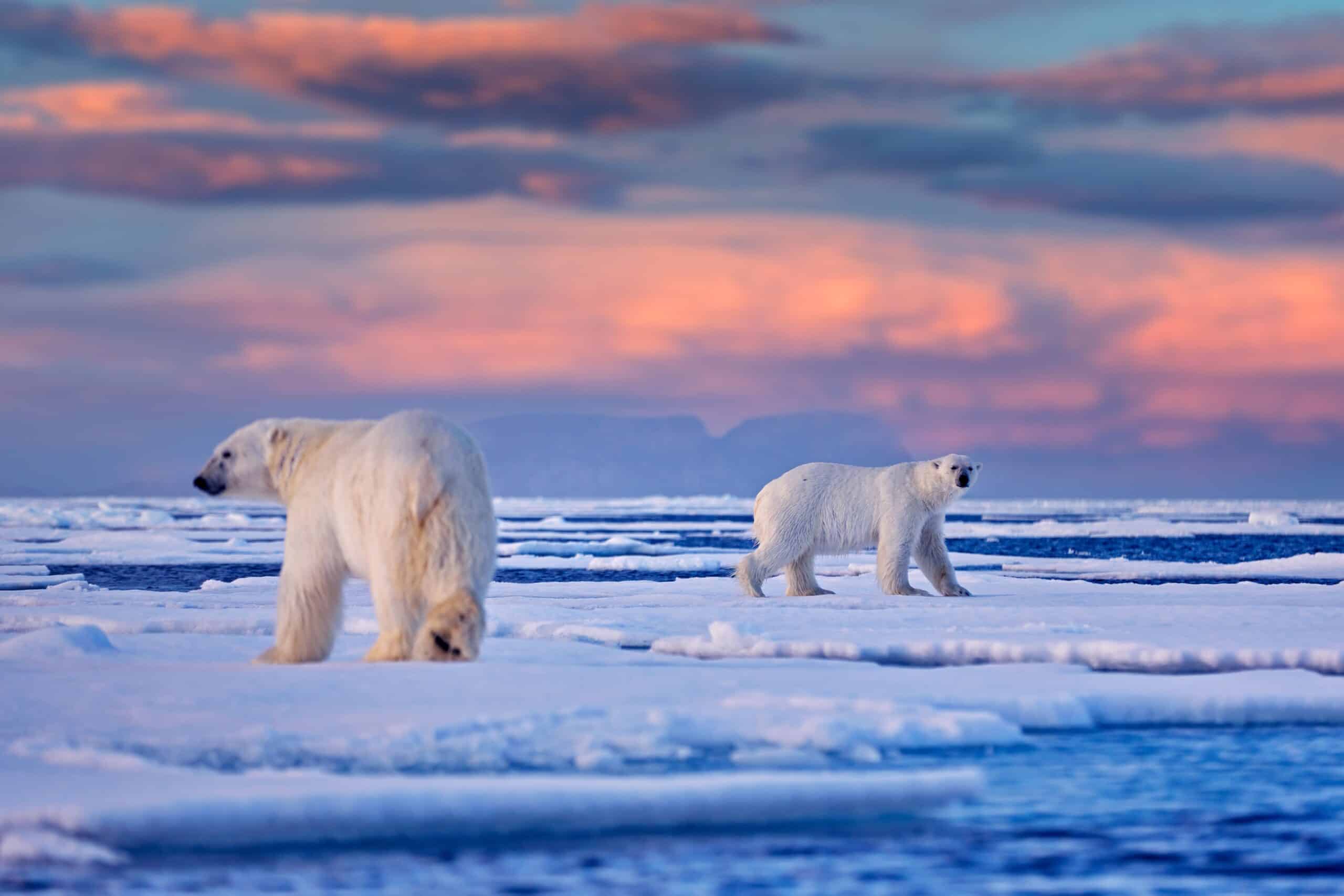 Svalbard, Norway