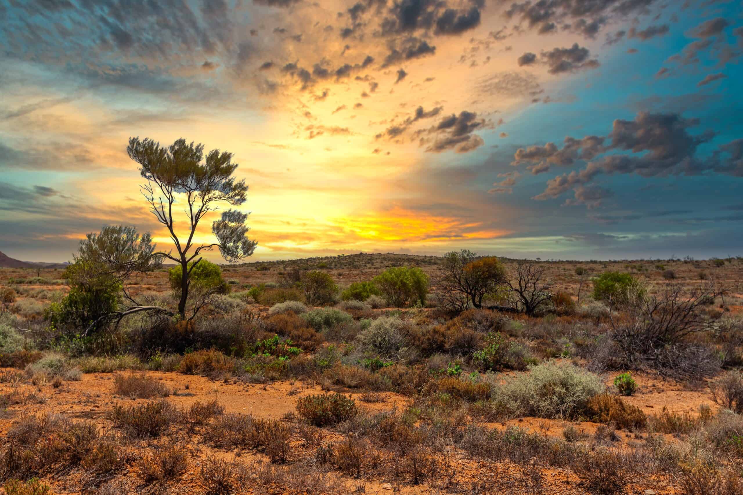 The Australian Outback