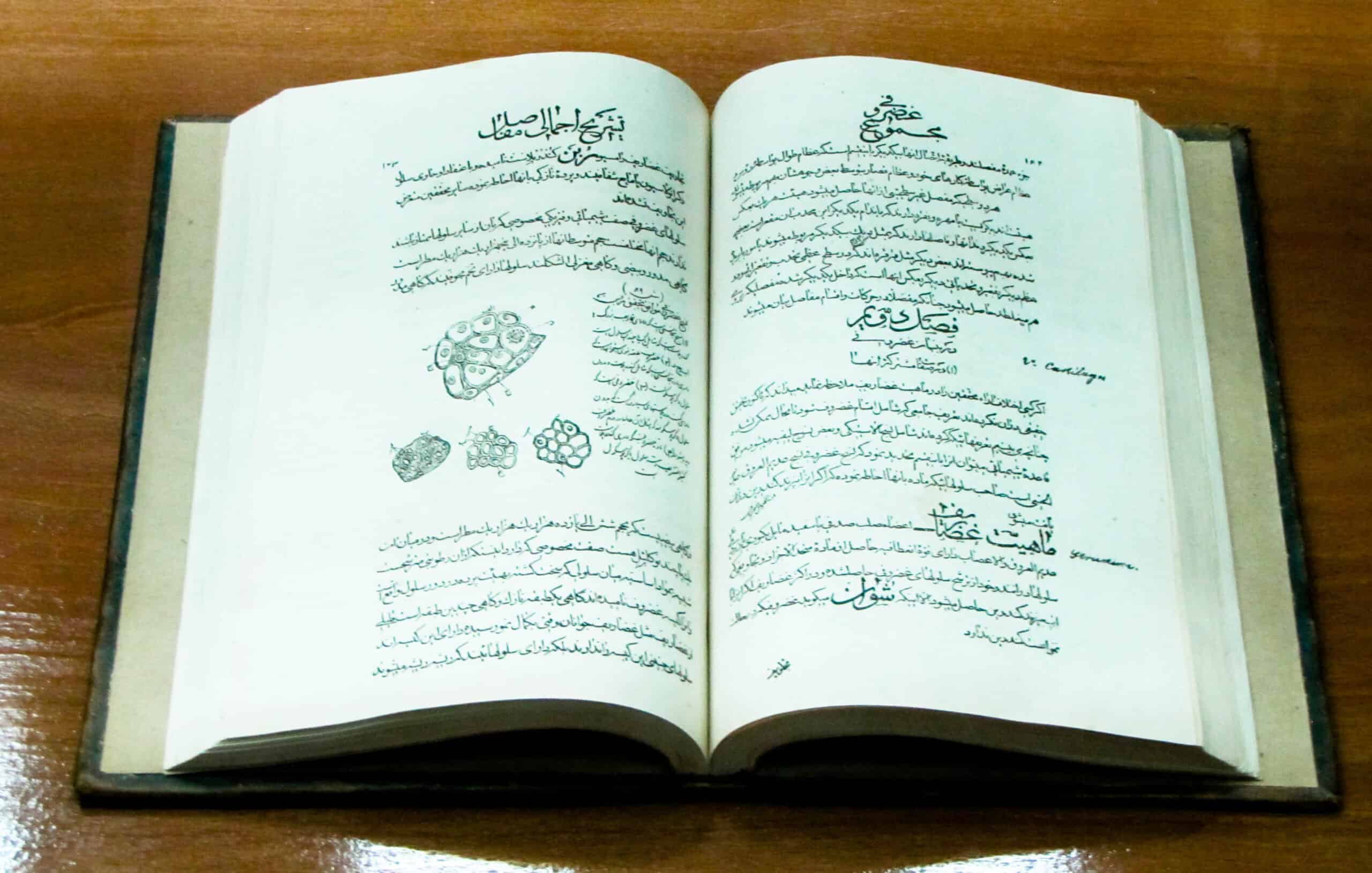 The Canon of Medicine by Avicenna