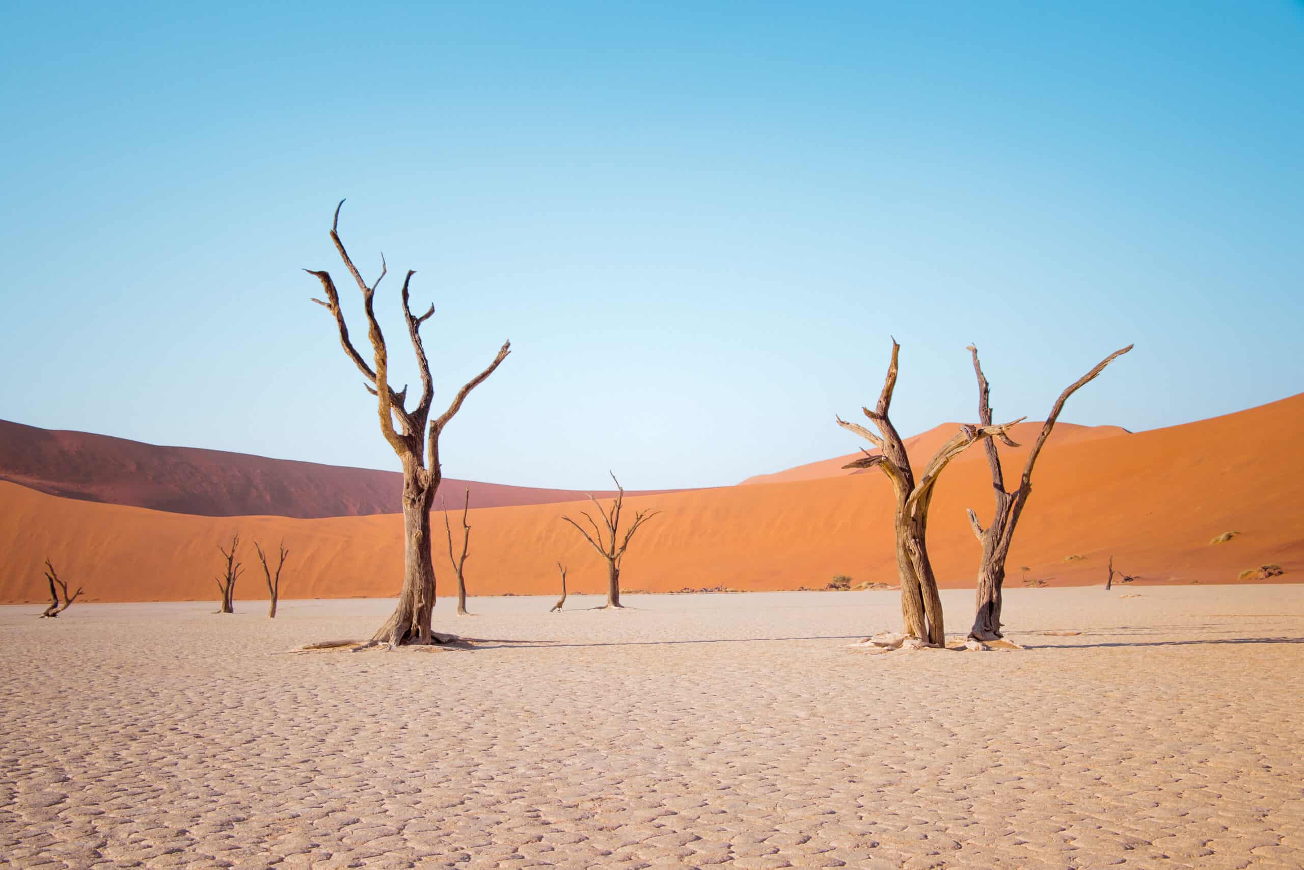 The Kalahari Desert