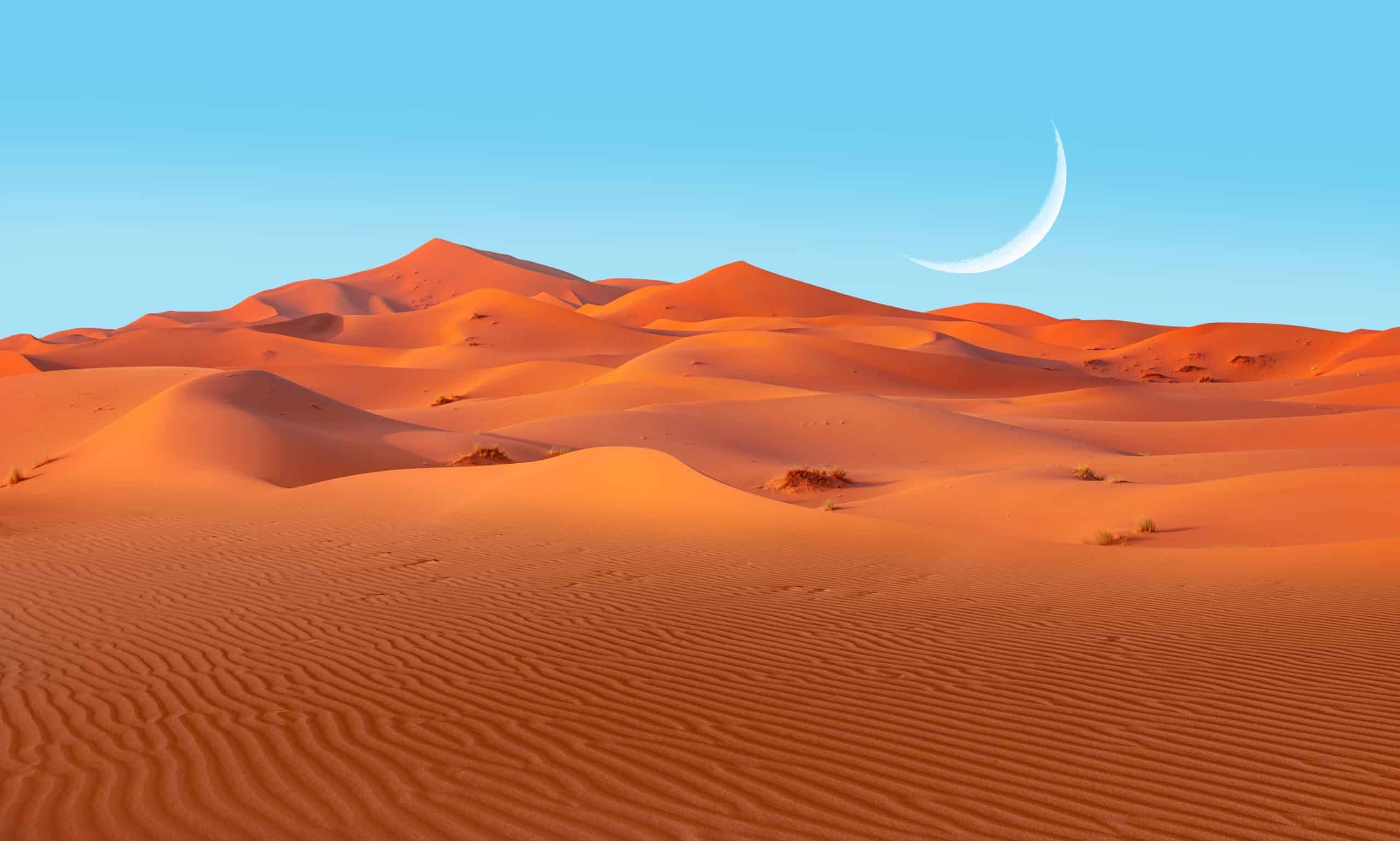 The Sahara Desert