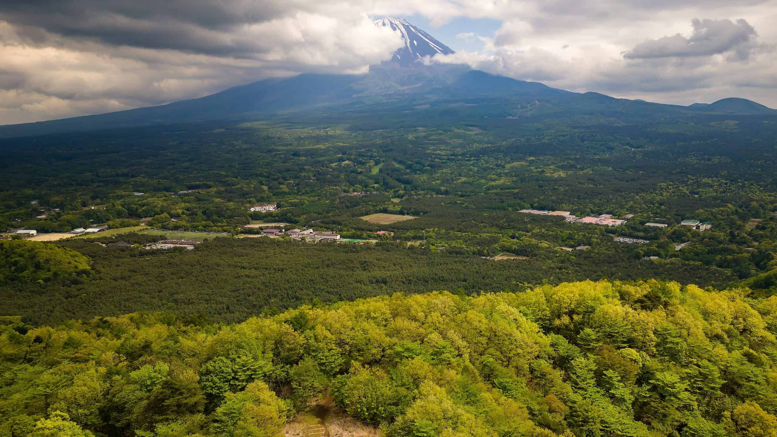 The Sea of Trees (Mount Fuji), Japan