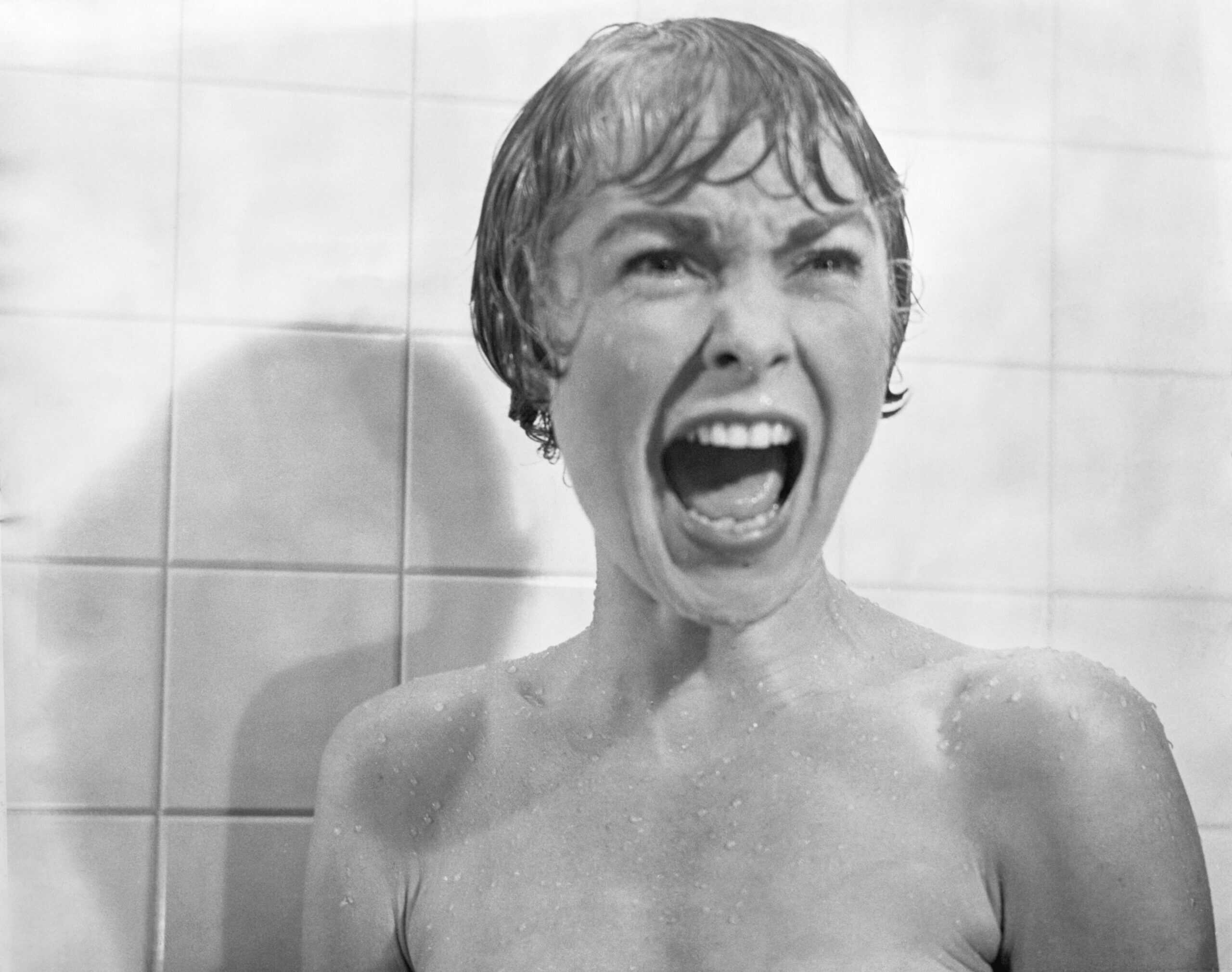 The Shower Scene in Psycho (1960)