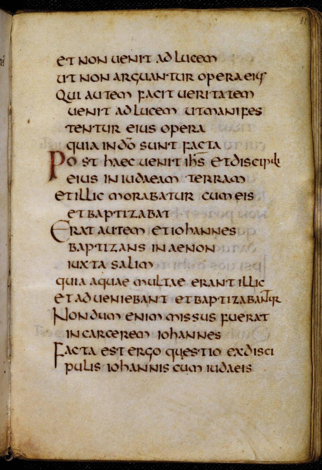 The St. Cuthbert Gospel