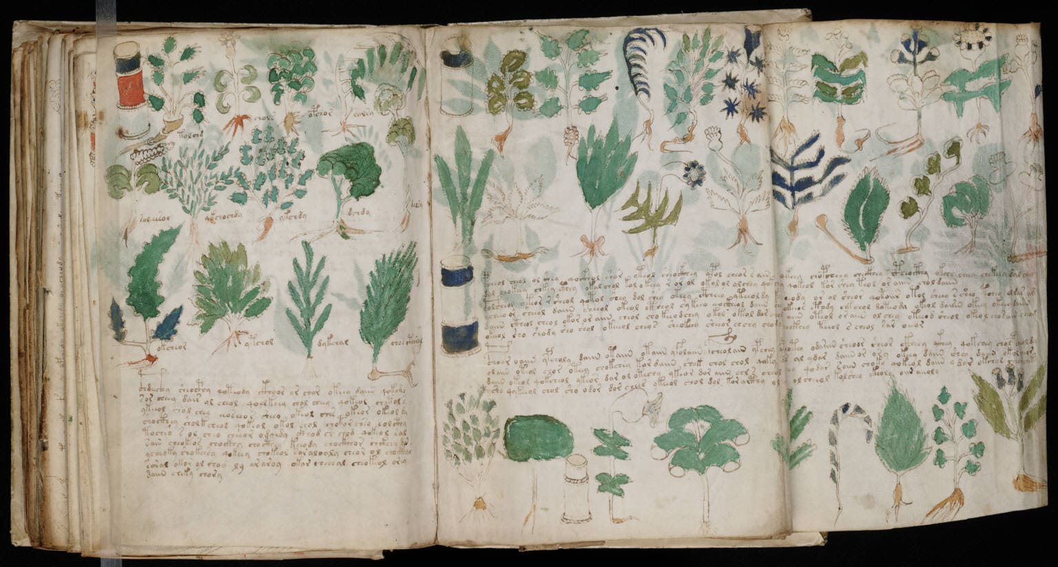 The Voynich Manuscript