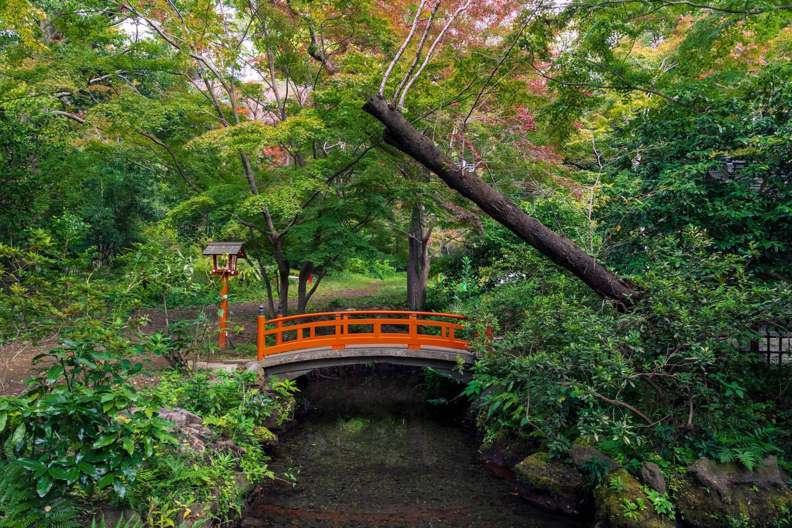 Todoroki Valley, Tokyo, Japan