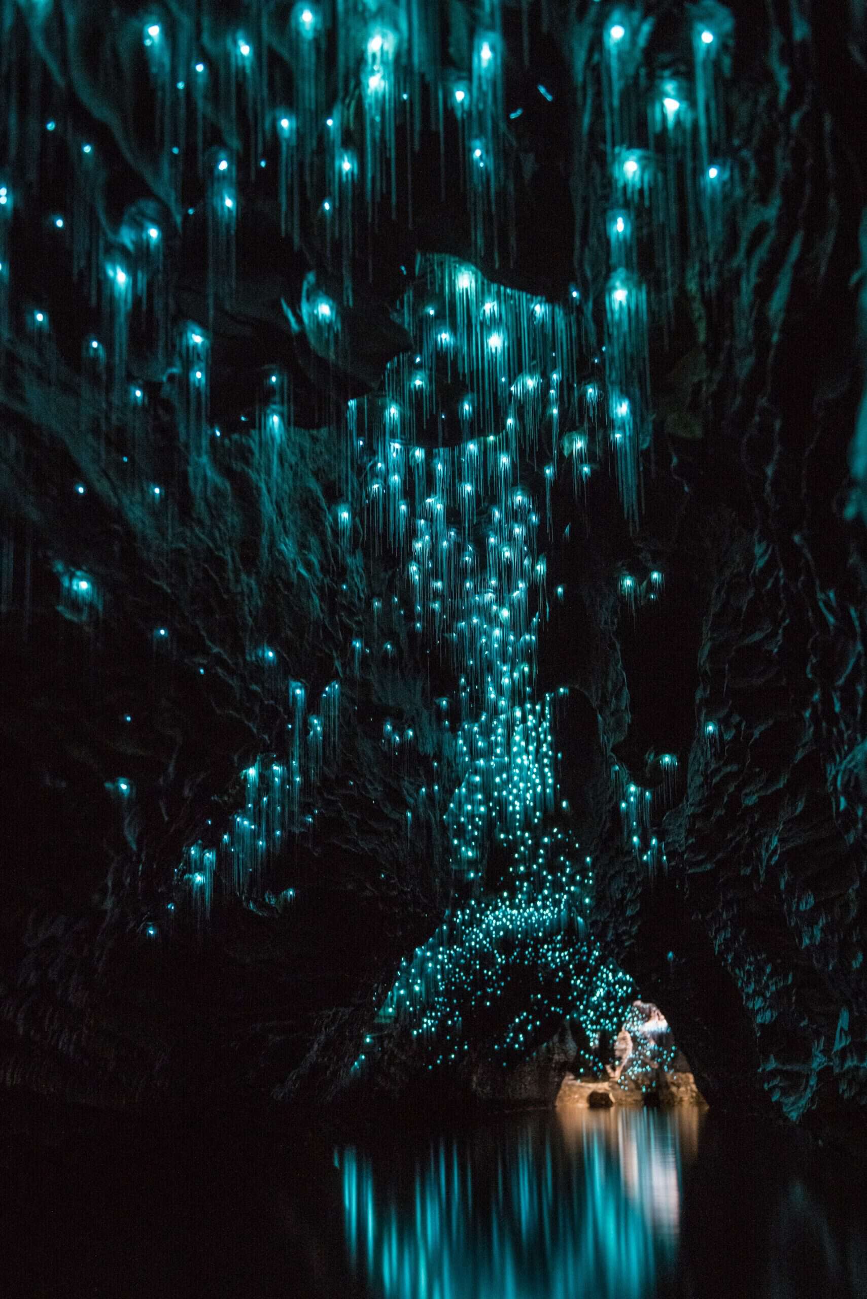 Waitomo Glowworm Caves, New Zealand