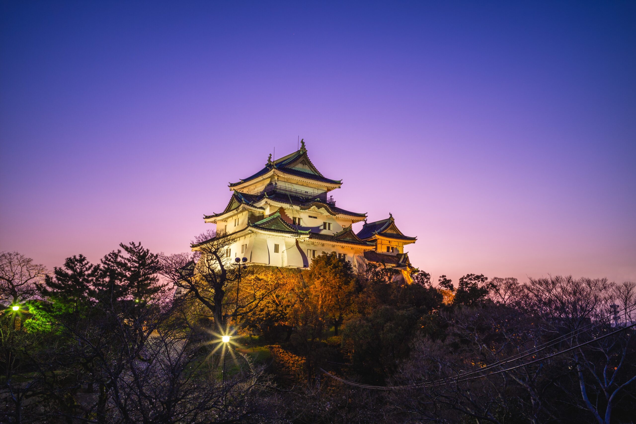 Wakayama Castle