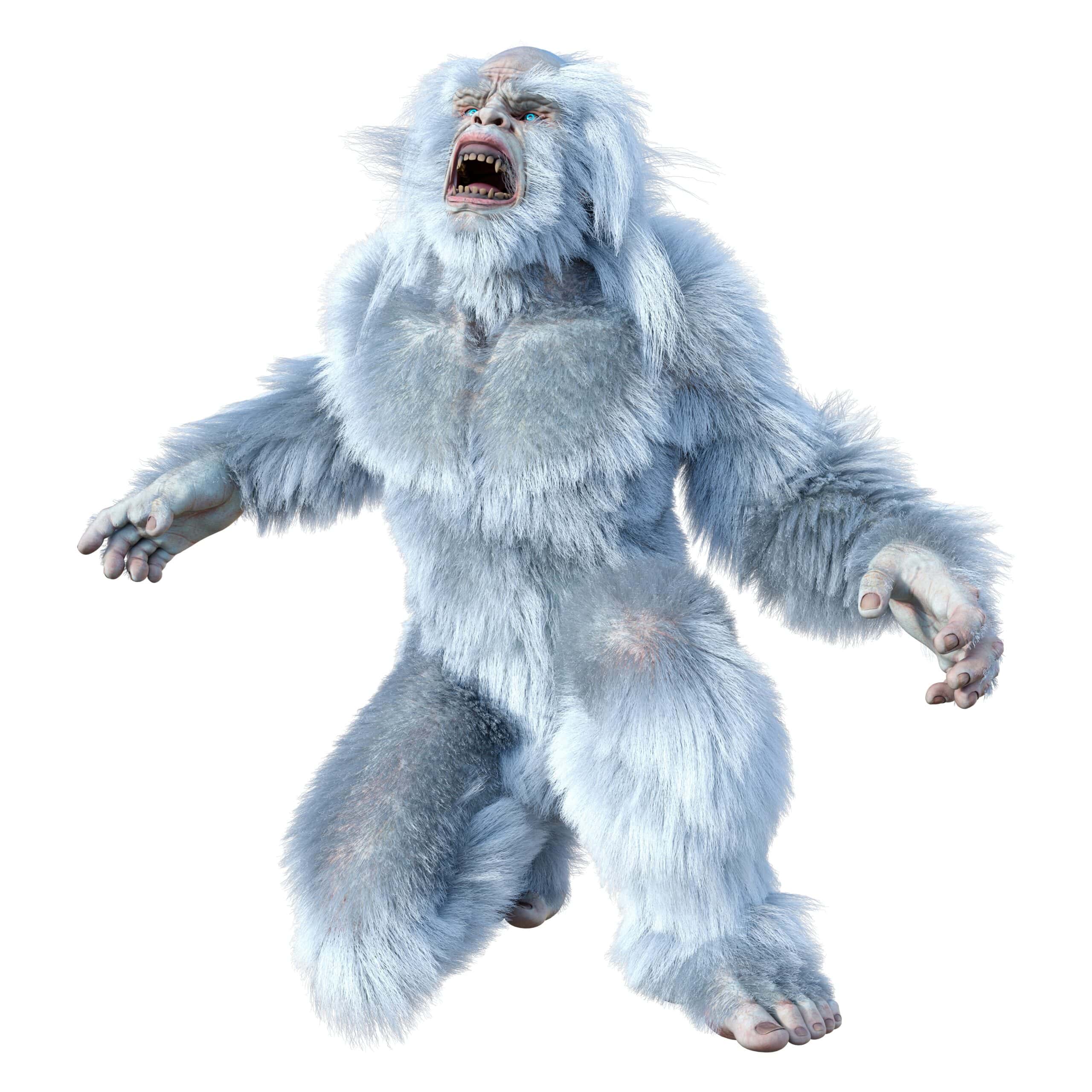 Yeti