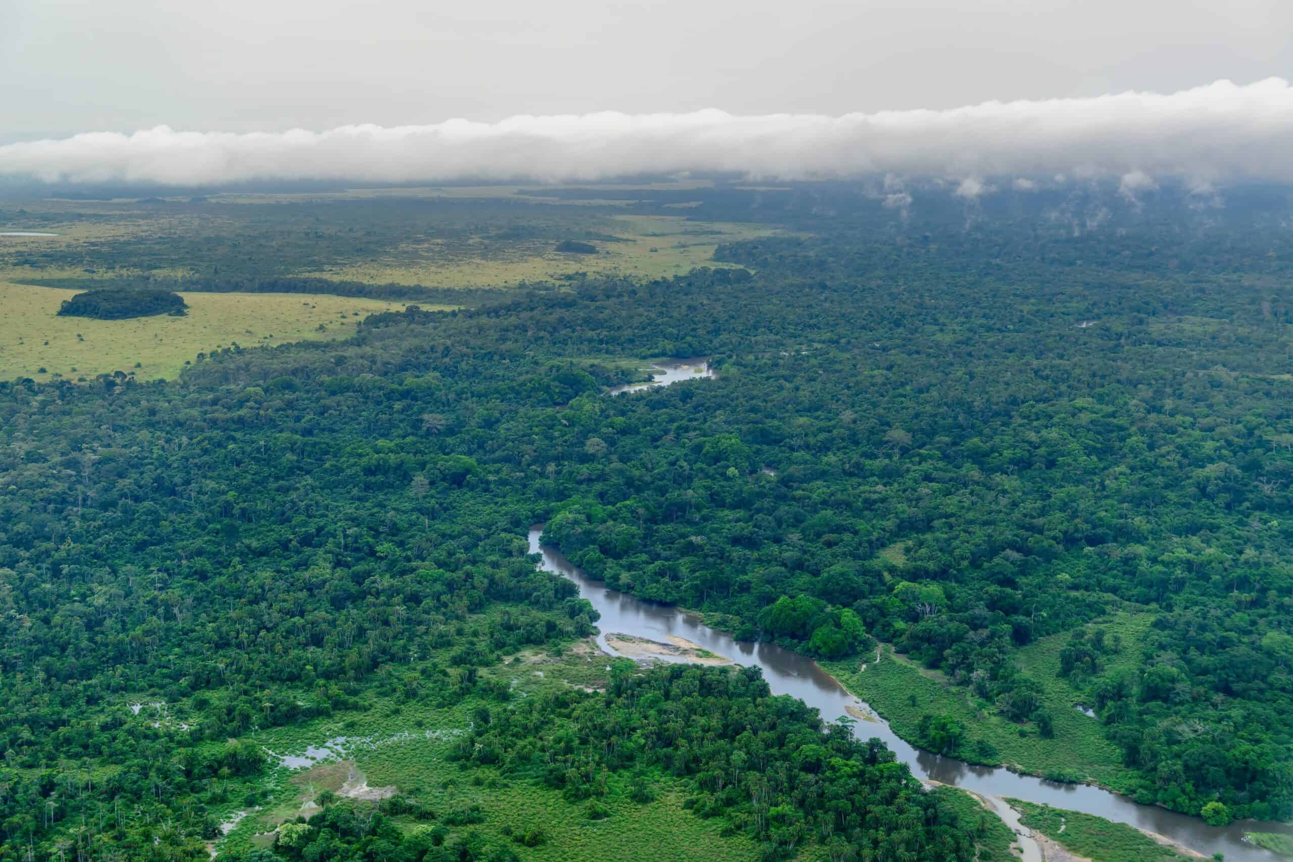 The Congo Basin