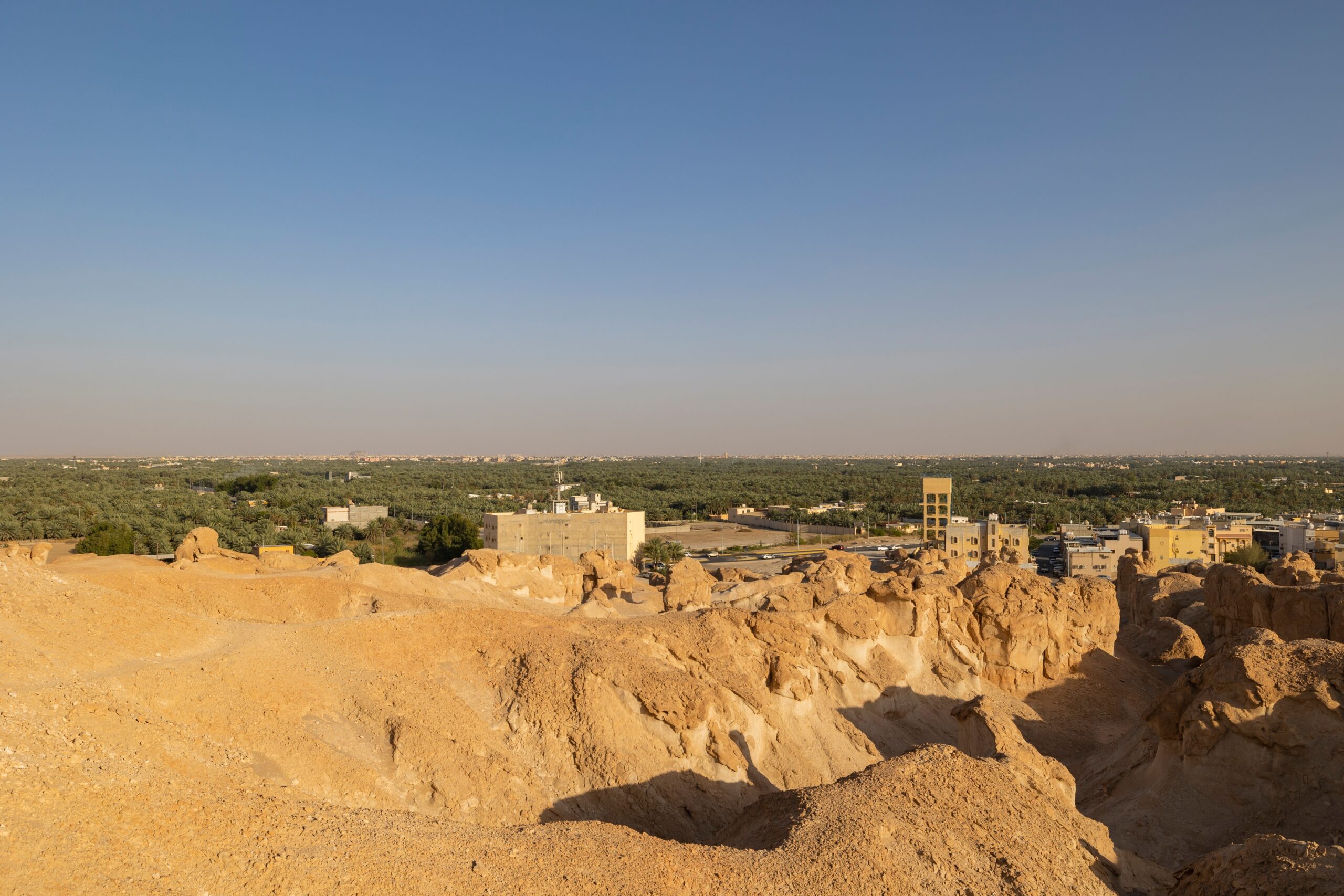 Al Hasa Oasis, Saudi Arabia