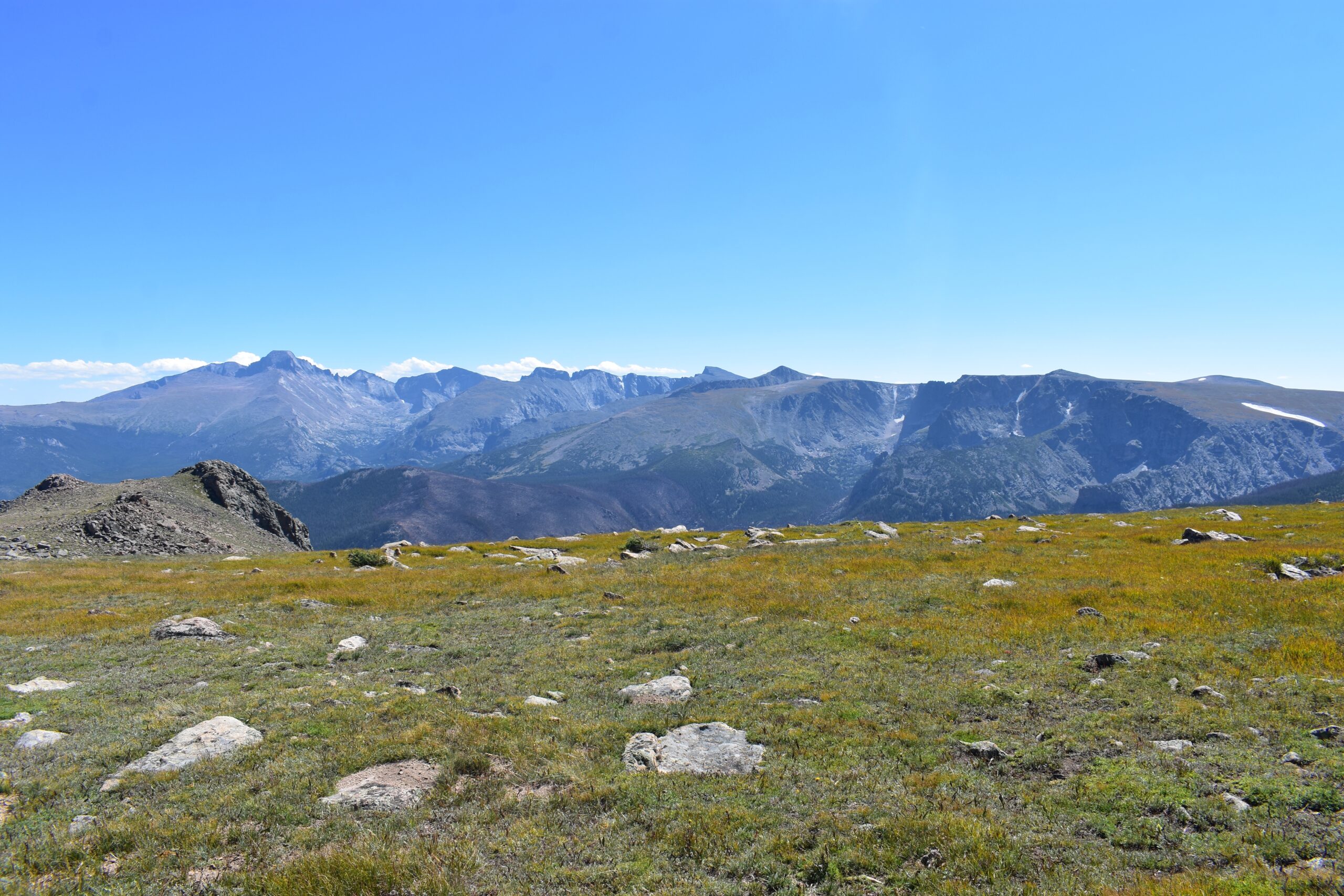 Alpine Tundra Ecosystems