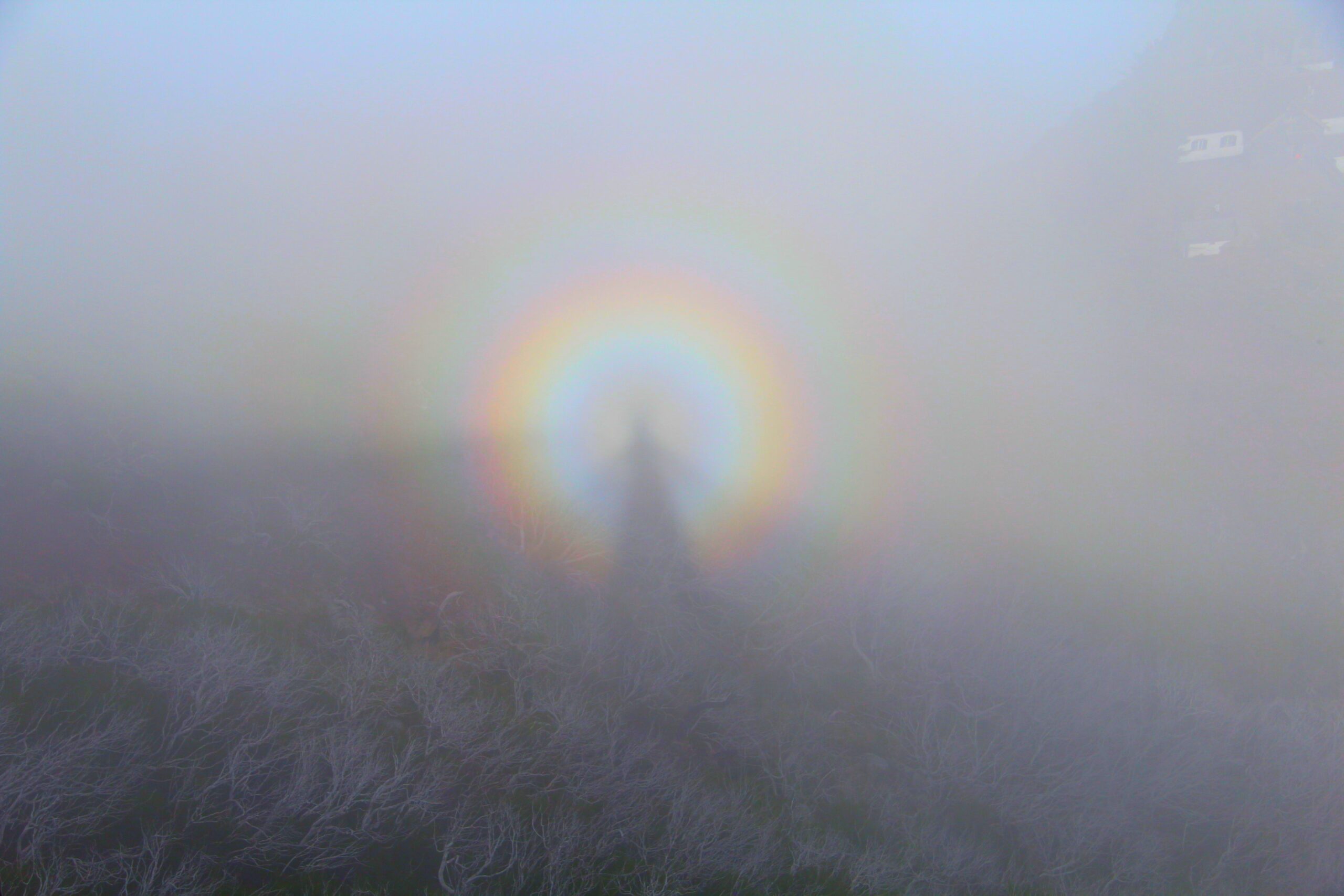 Brocken Spectre