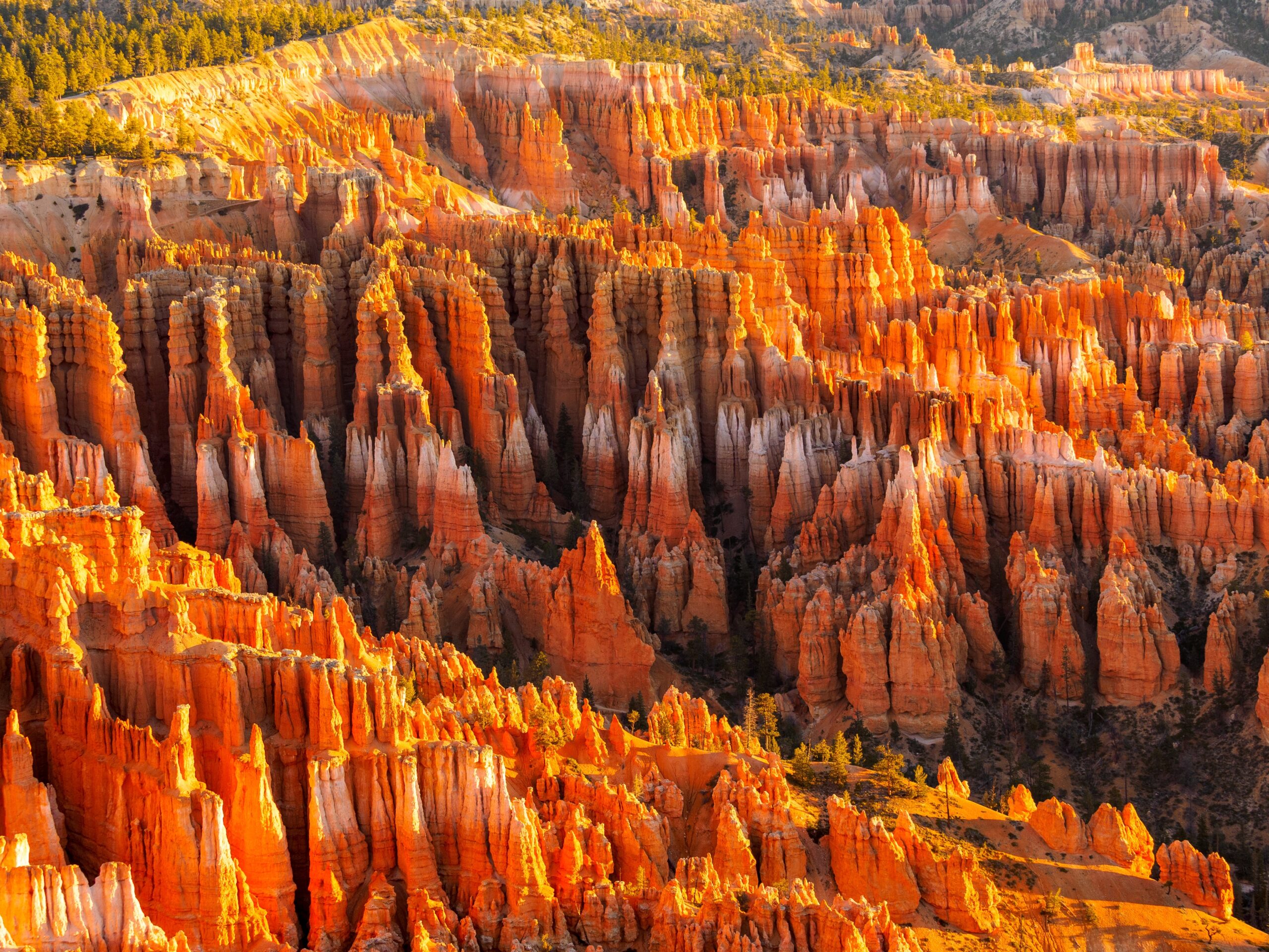 Bryce Canyon Hoodoos, USA