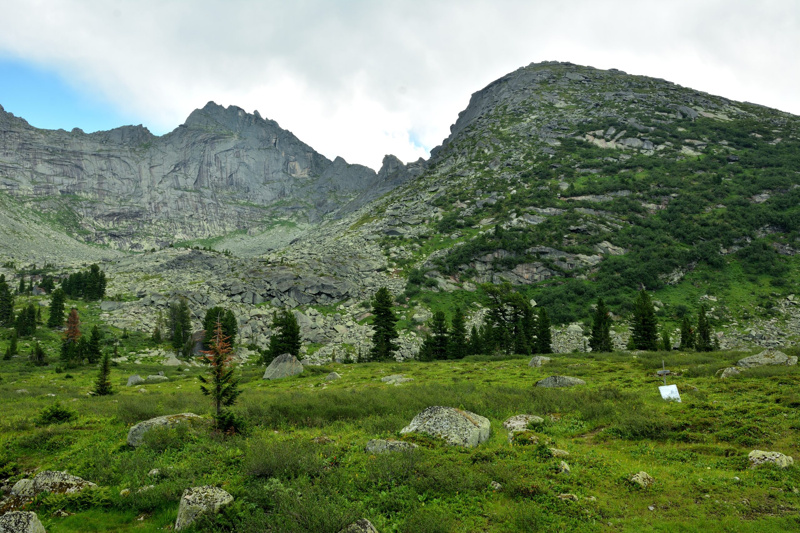 Cedar Glade Ecosystems