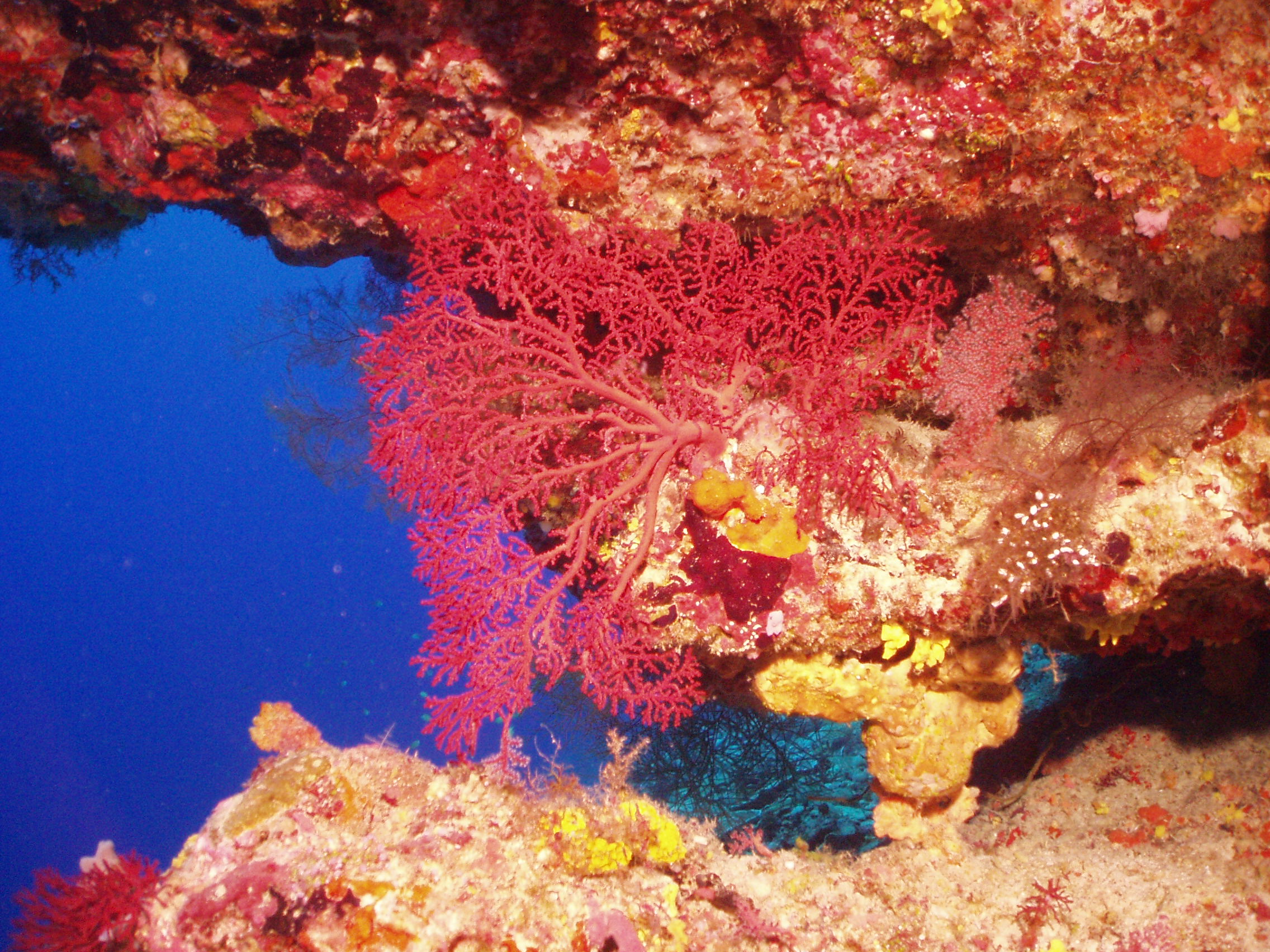 Chagos Archipelago, British Indian Ocean Territory