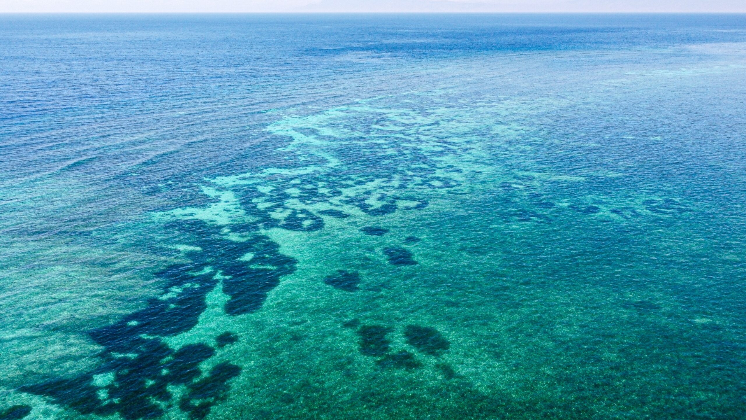 Coral Triangle, Southeast Asia