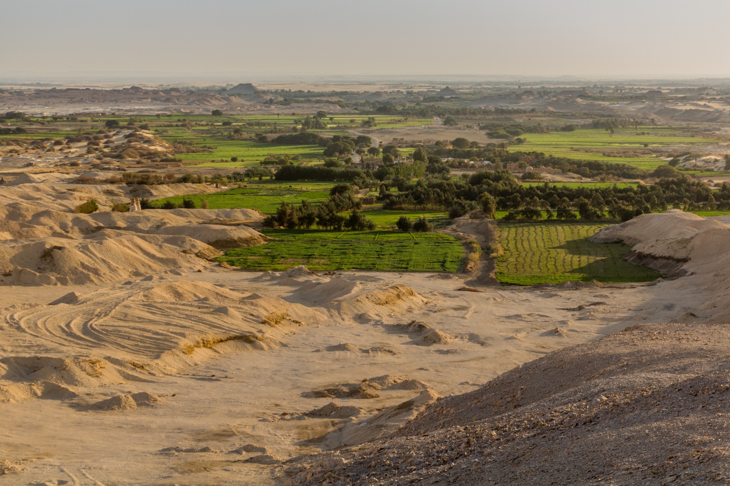 Dakhla Oasis, Egypt