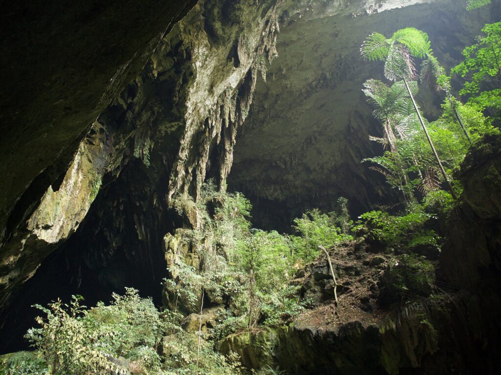 Deer Cave, Malaysia