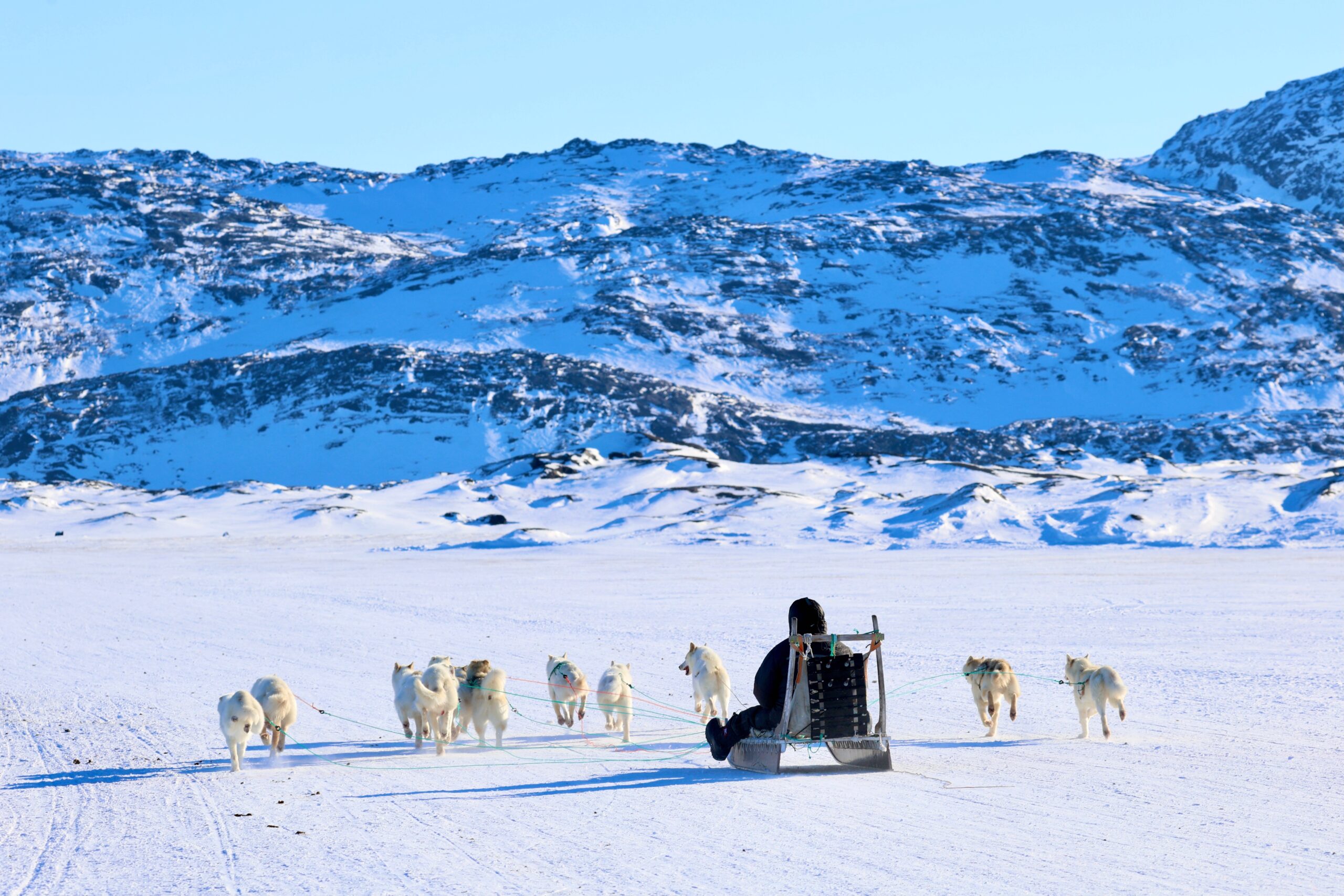 Dog-Sledding Ceremonies in Greenland