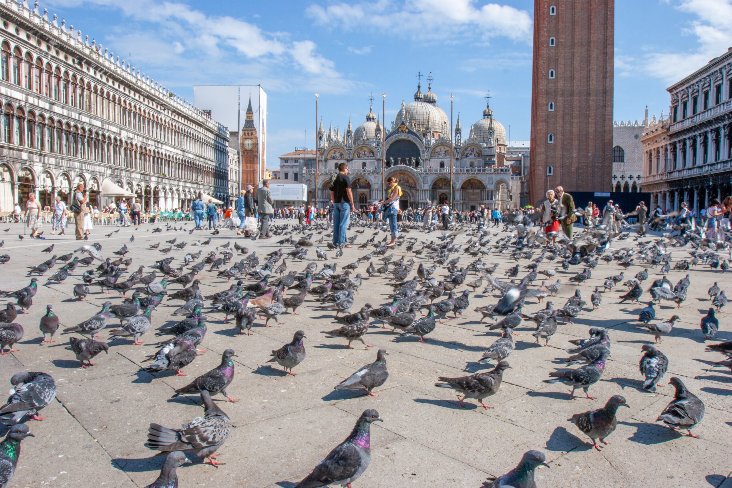 Feeding pigeons in Venice, Italy