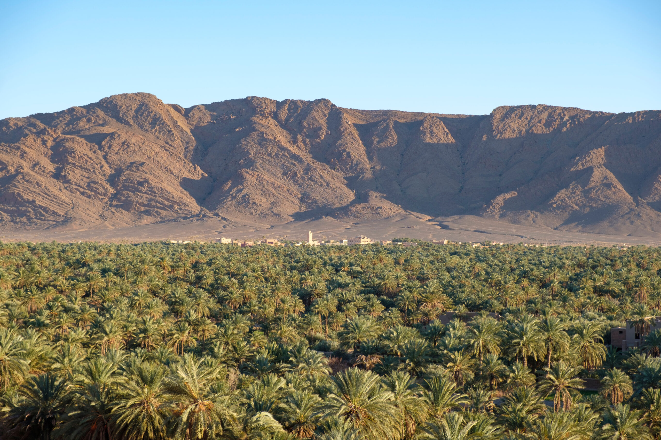 Figuig Oasis, Morocco