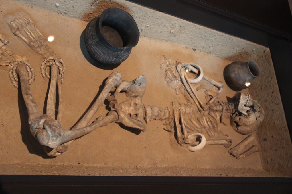 Neolithic Bone Rites (Çatalhöyük)