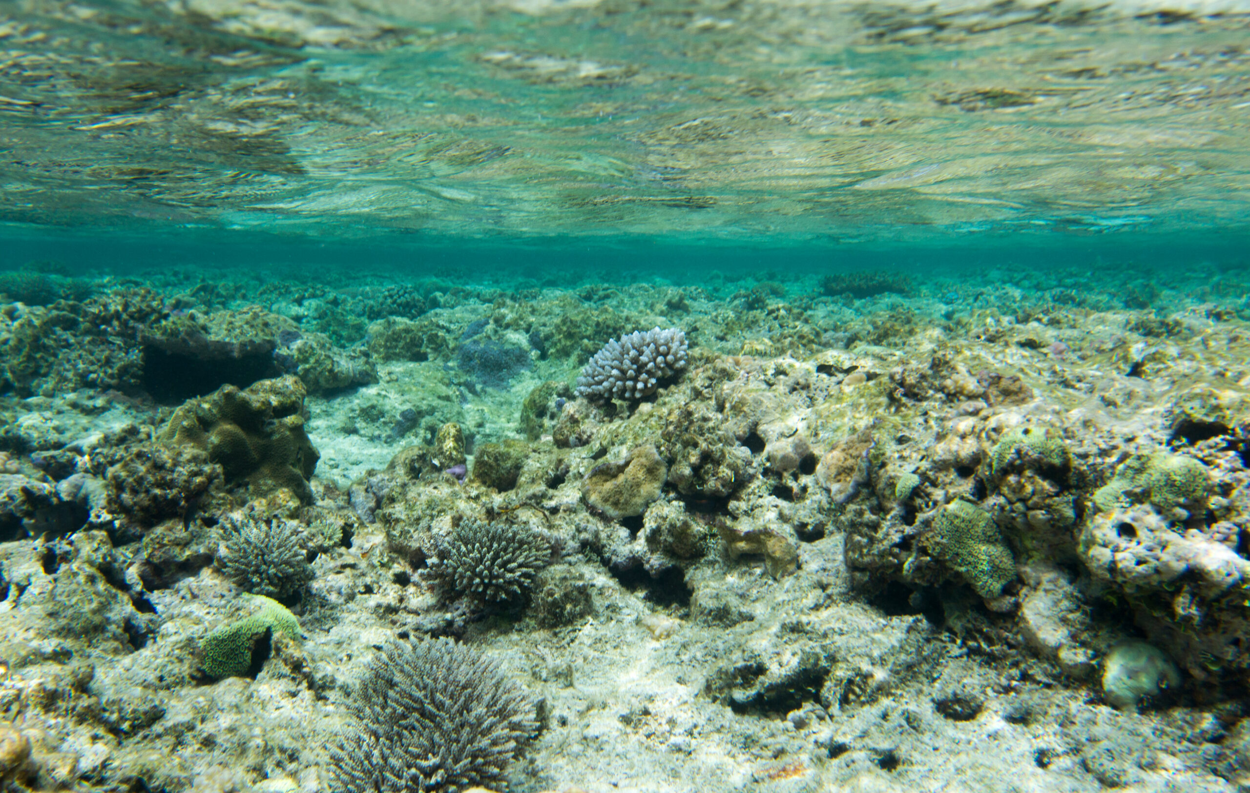 New Caledonia Barrier Reef