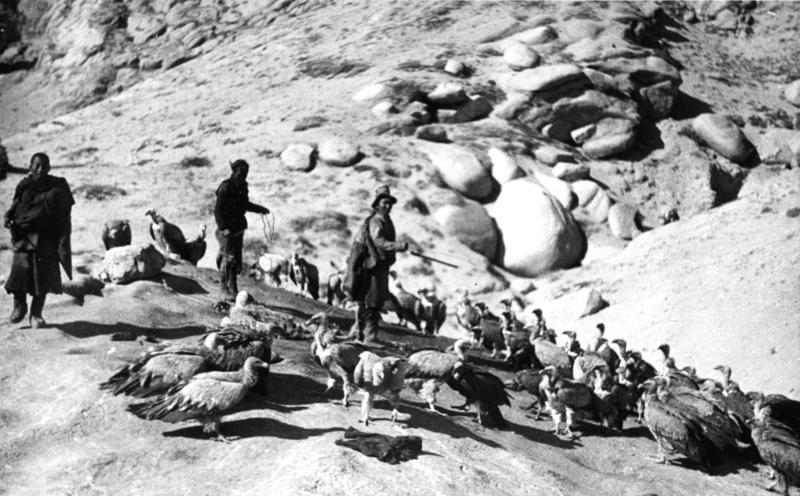 Sky Burials of Tibet