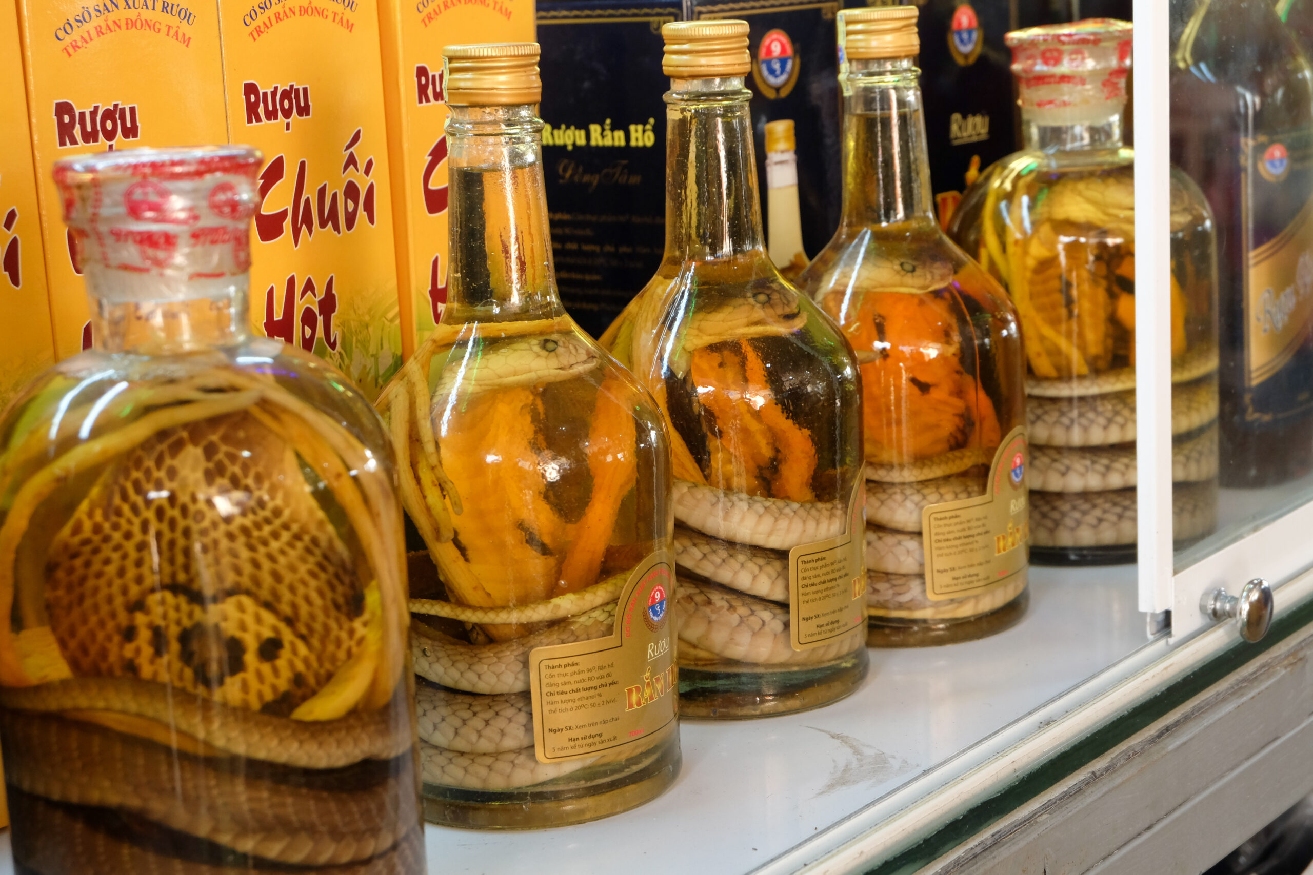 Snake Wine (Southeast Asia)