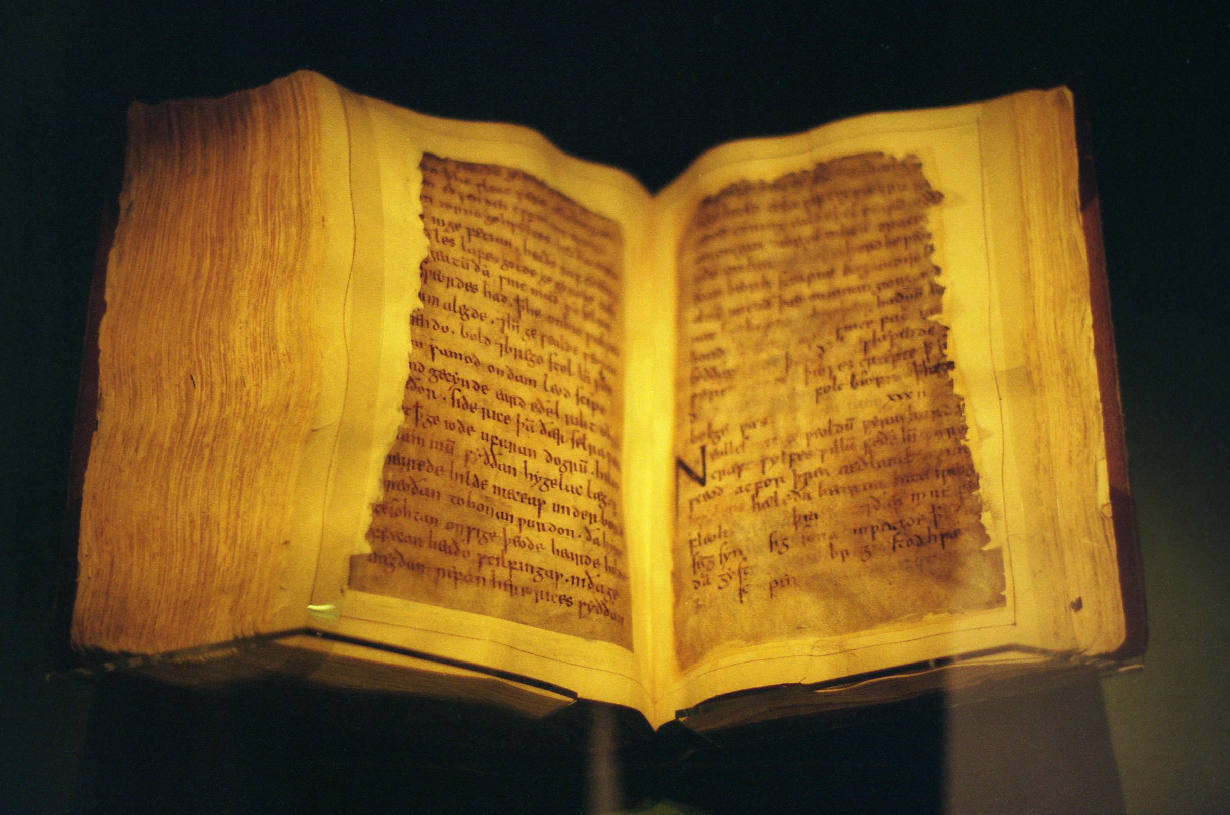 The Beowulf Manuscript