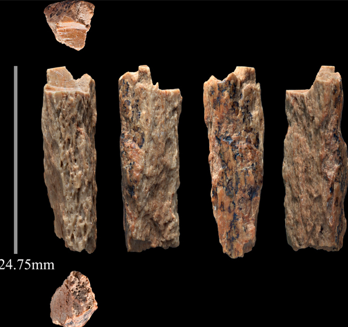 The Denisova Cave Fossils (Siberia)