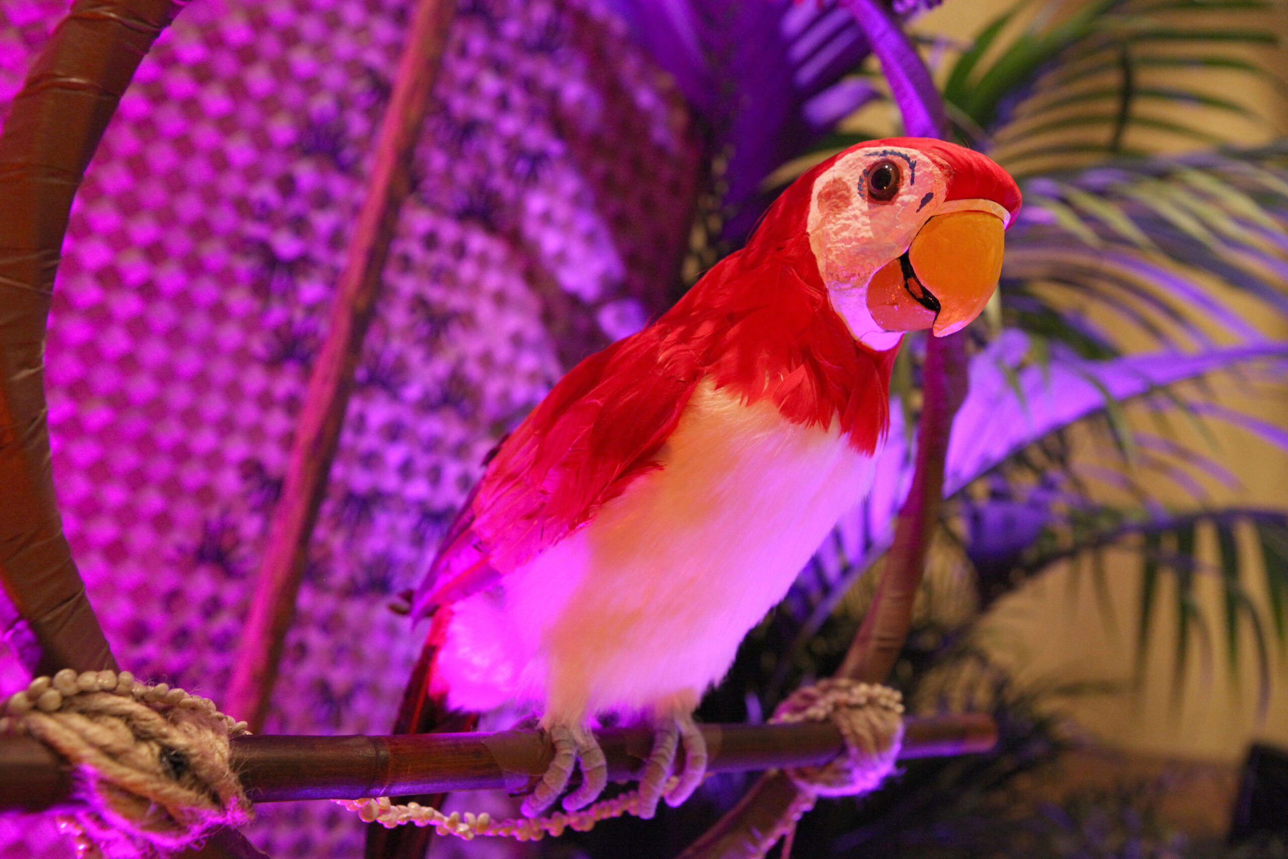 The Enchanted Tiki Room Birds