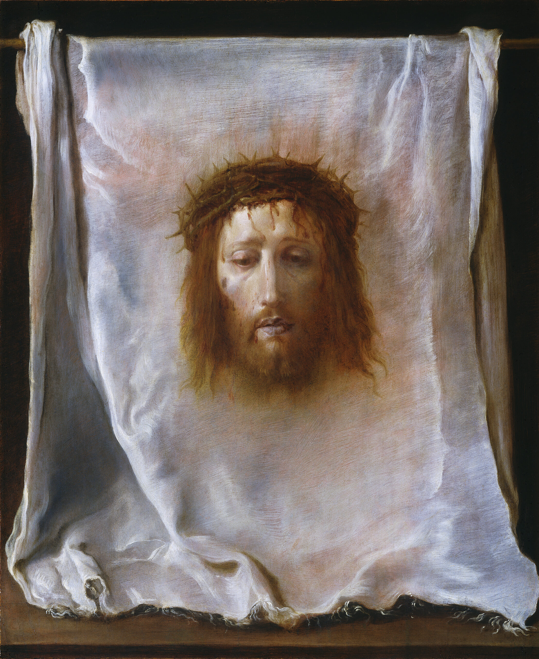 The Veil of Veronica