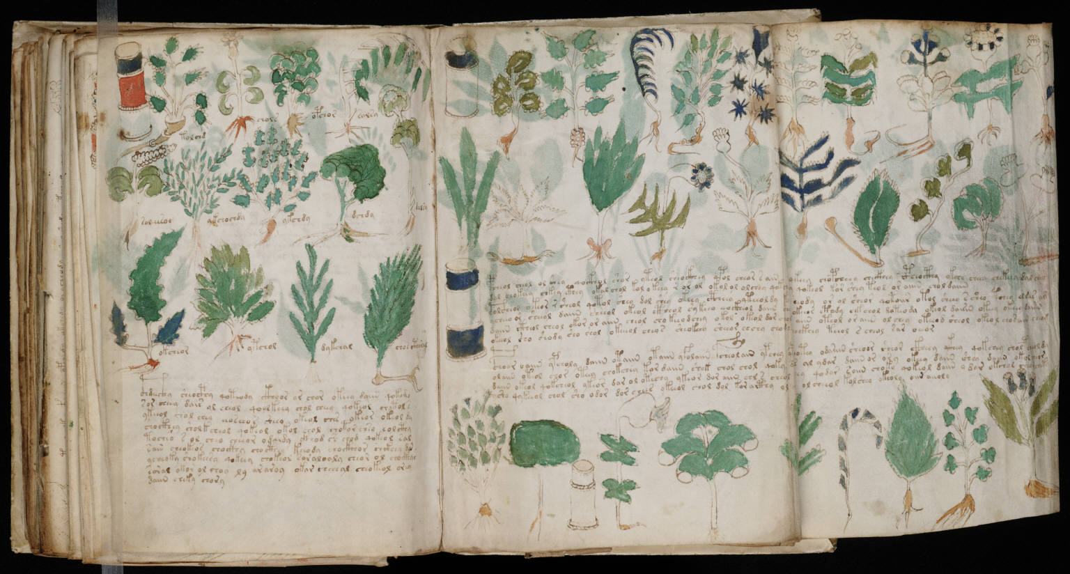 The Voynich Manuscript (Exact Origin Unknown)