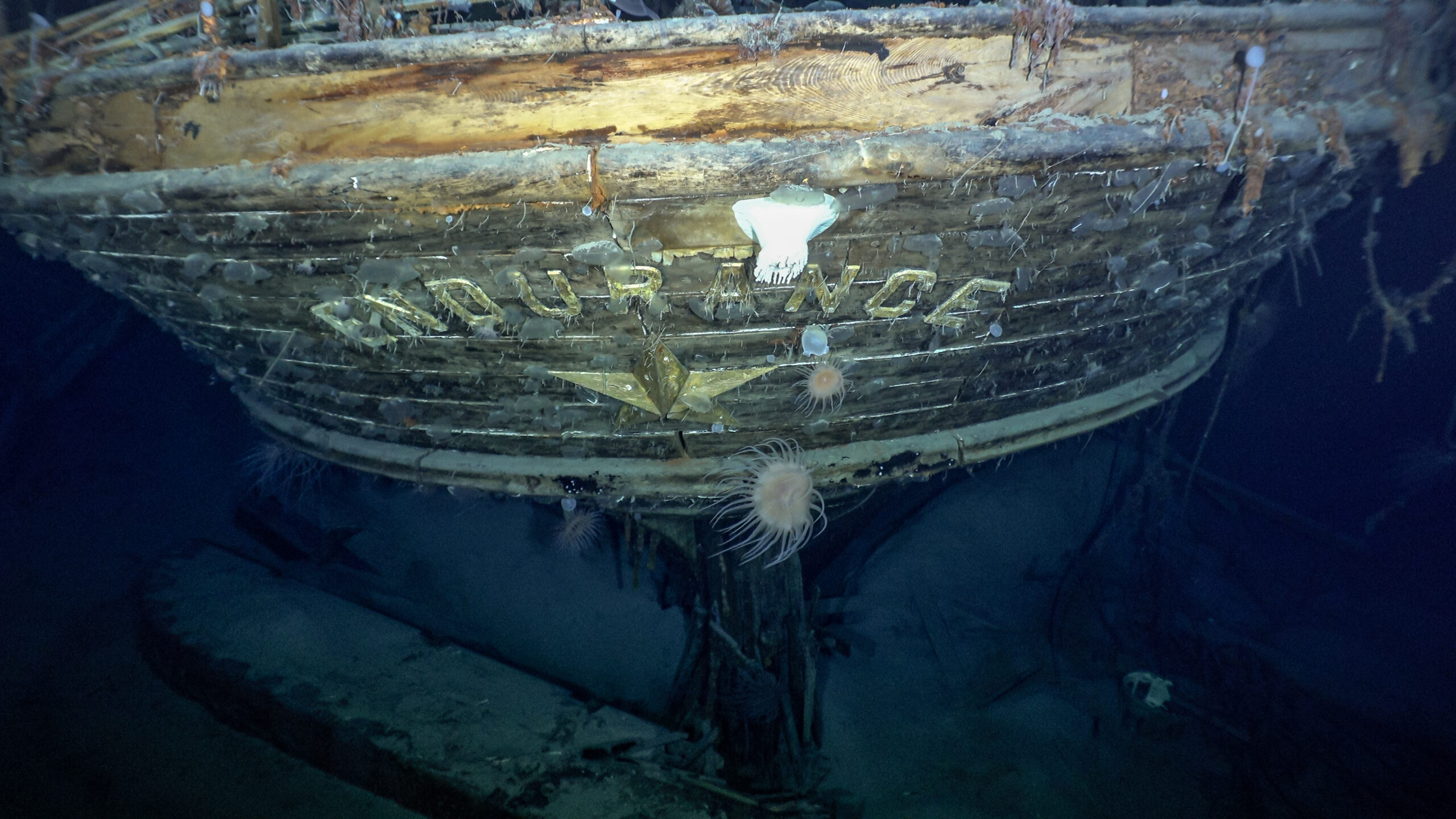 The Wreck of the Endurance (Antarctica)