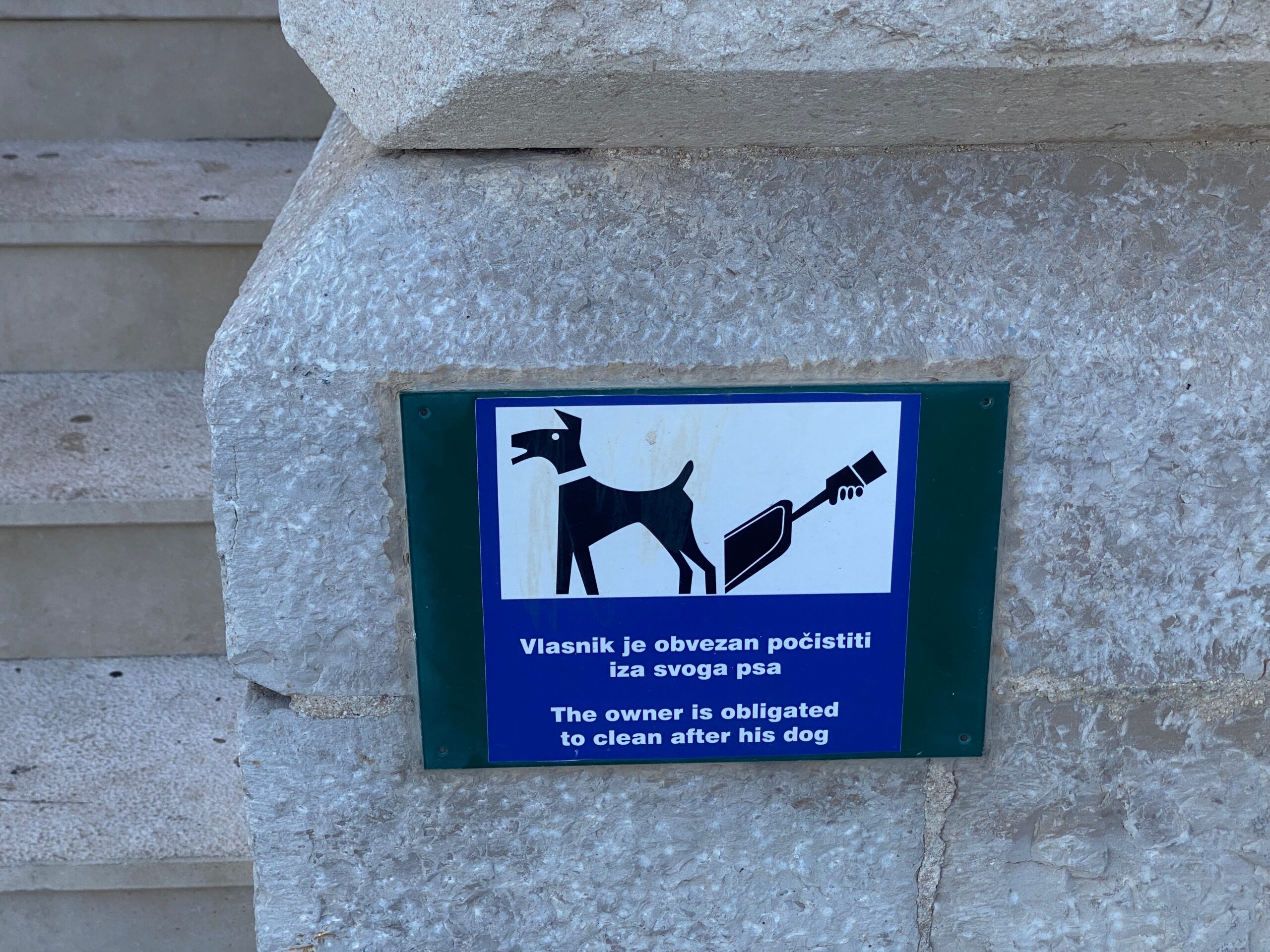 Walking a dog without cleaning up its waste in Rome, Italy