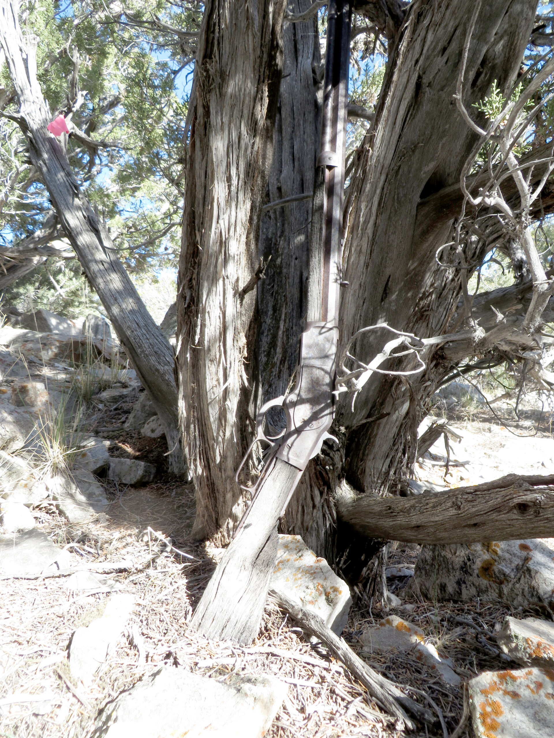 Winchester Model 1873 Rifle found at Great Basin National Park