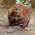 18 Largest Rodents in the World