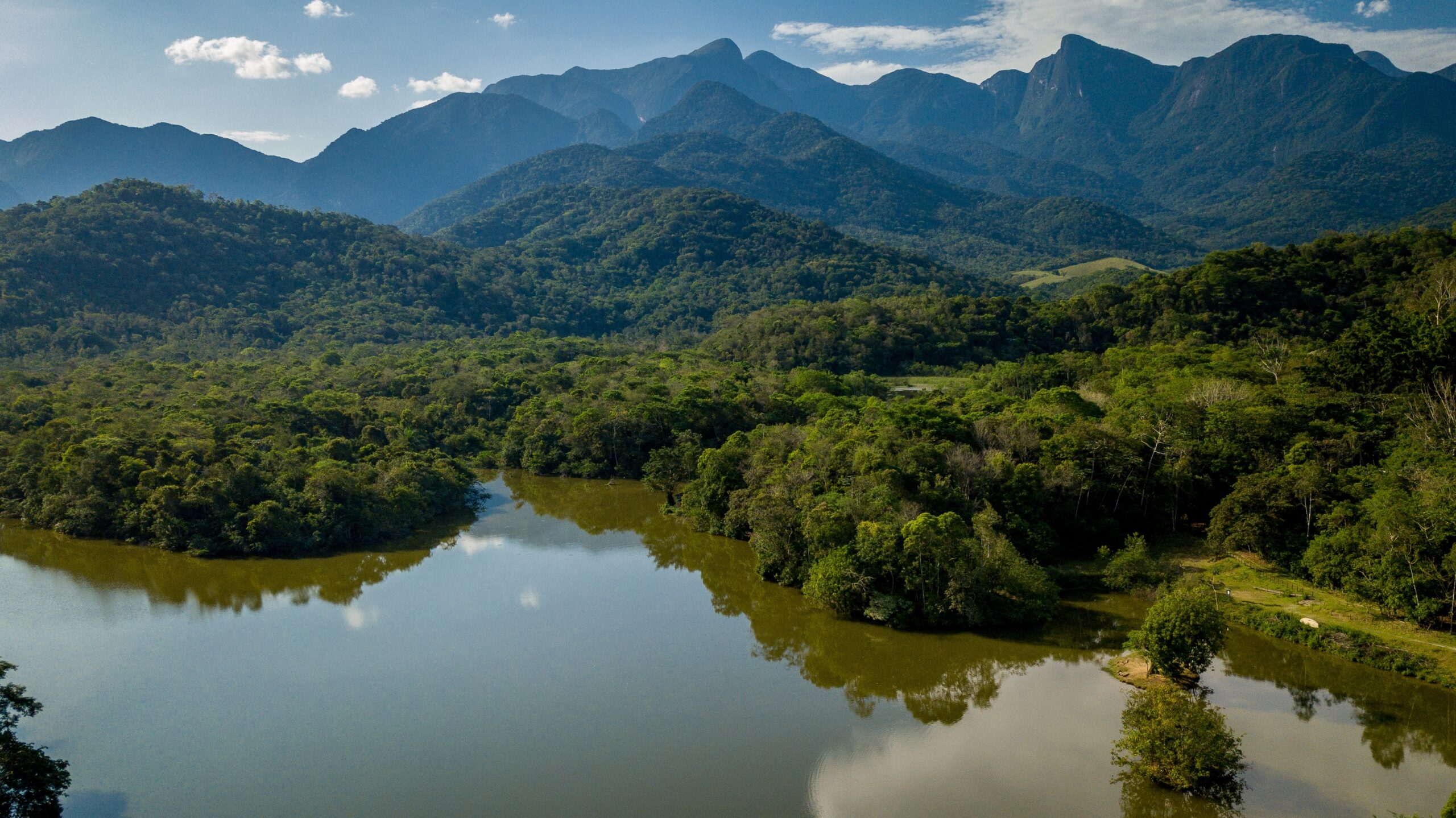 Atlantic Forest (Mata Atlântica), Brazil